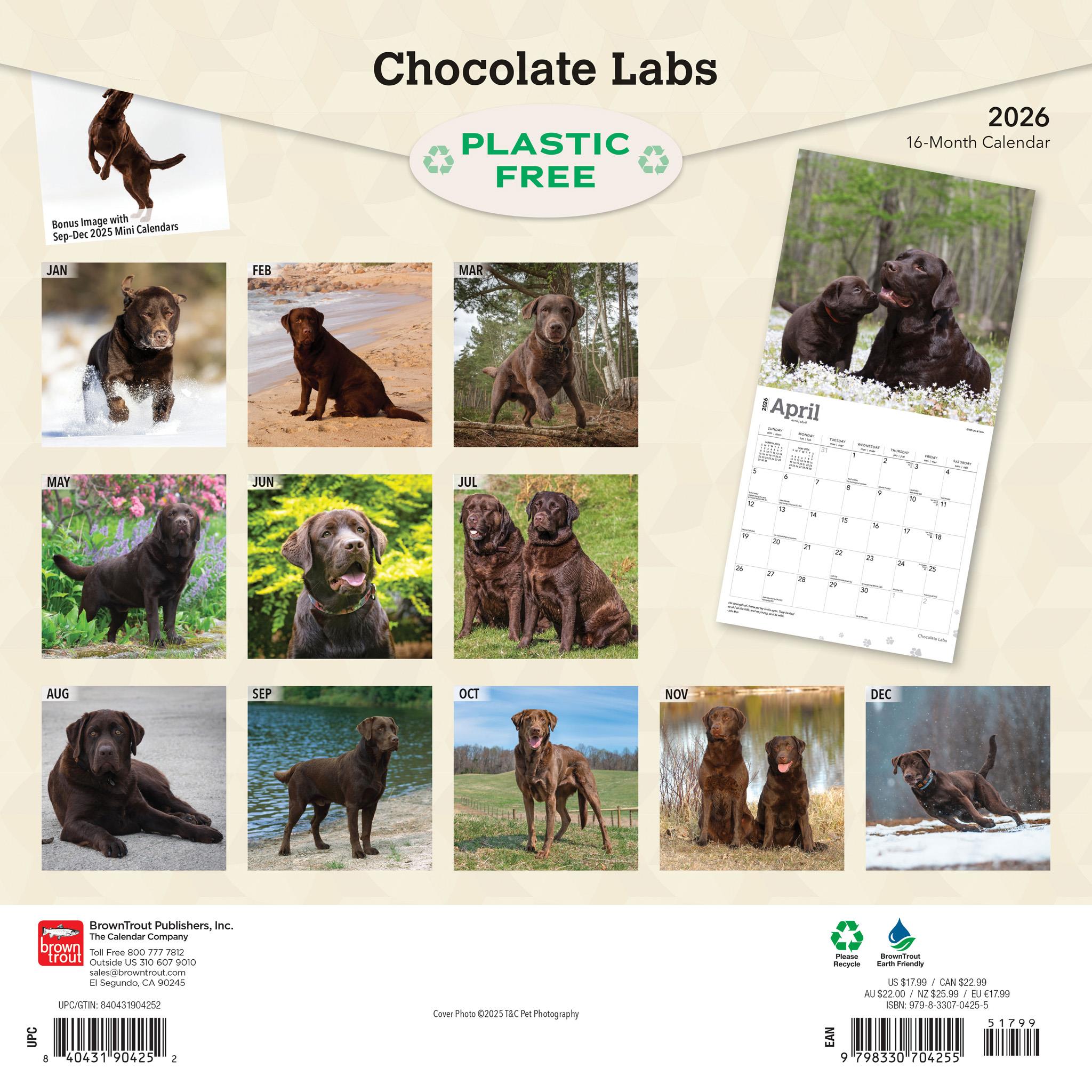 Calendrier mural Chocolate Labs 2026