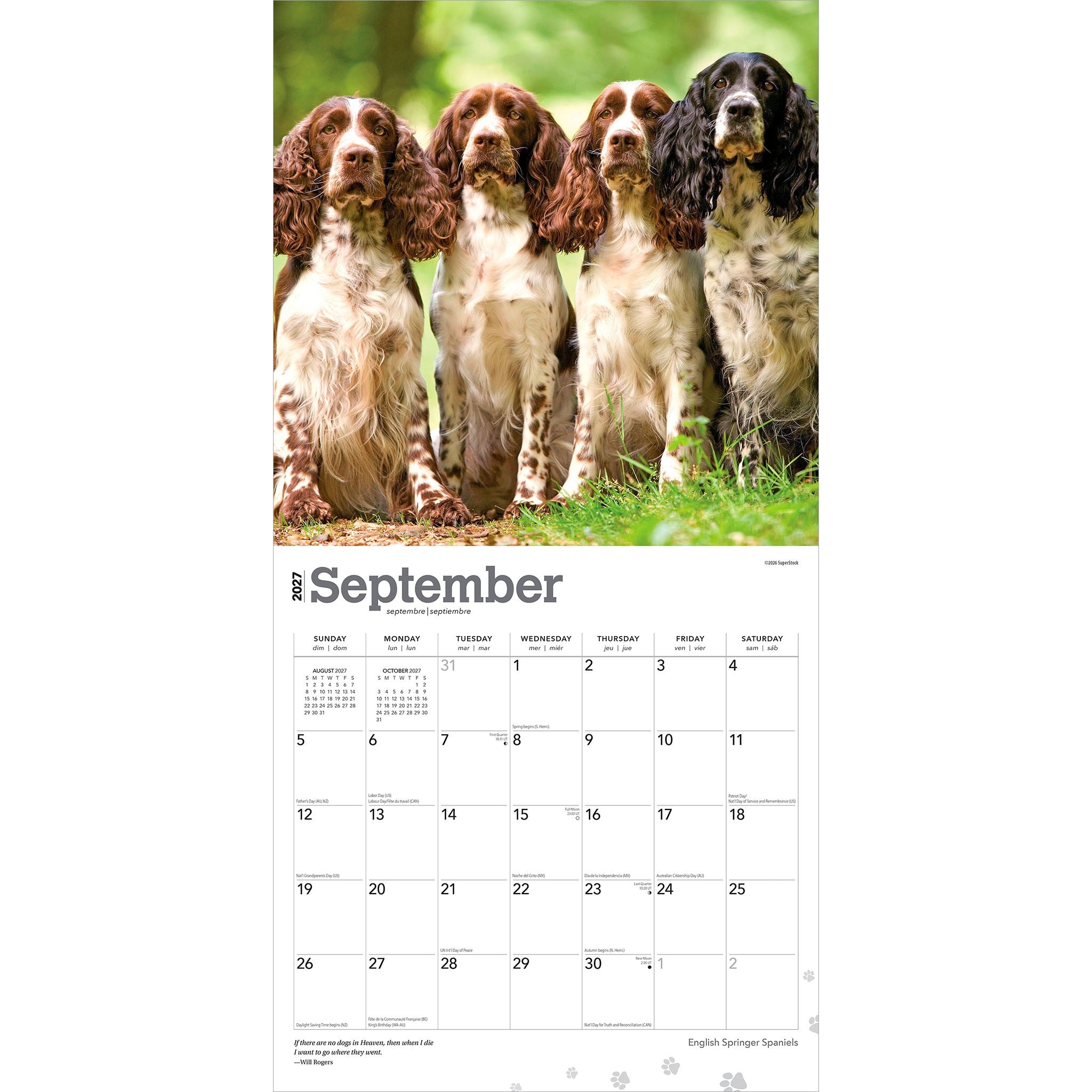 English Springer Spaniels 2027 Wall Calendar