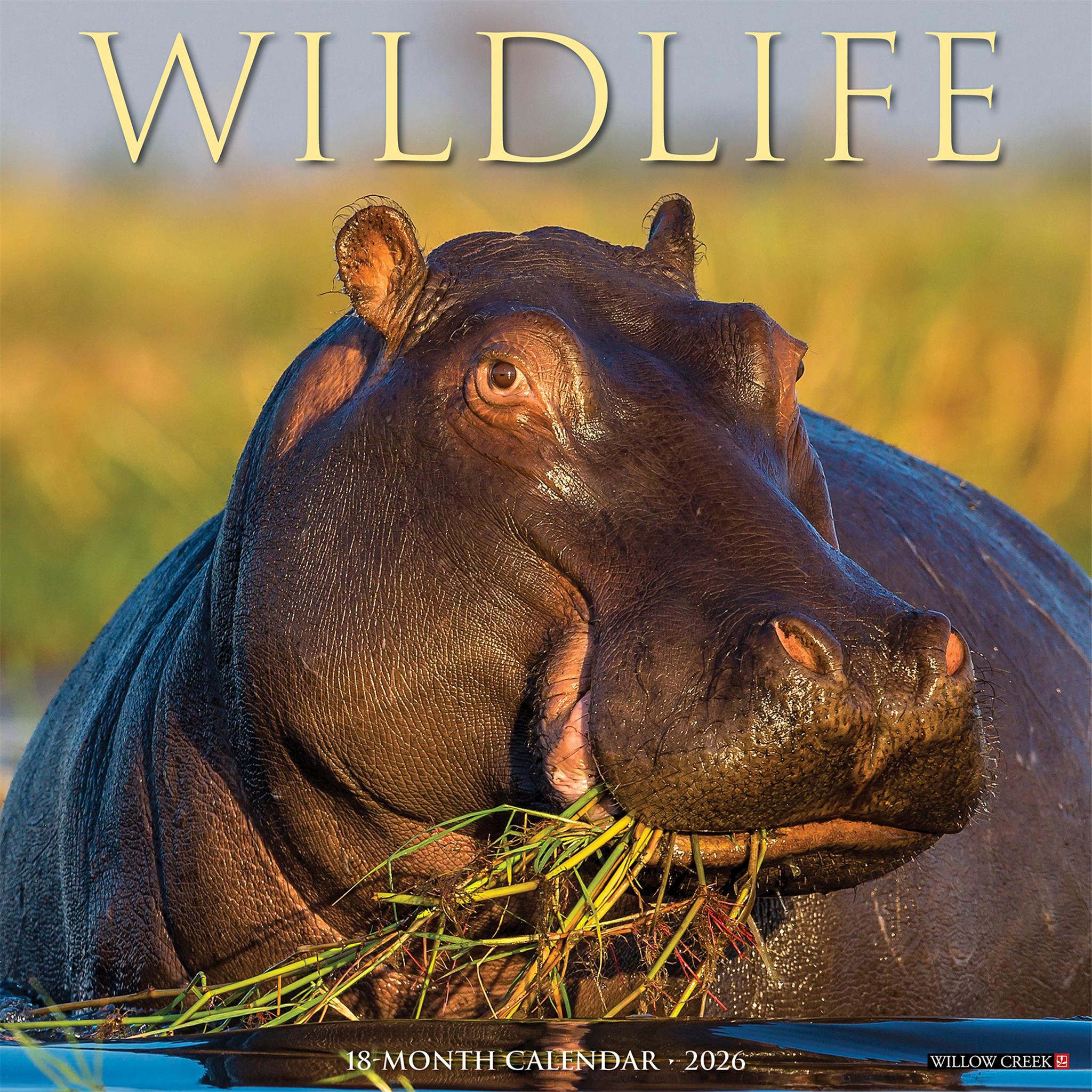 Wildlife 2026 Wall Calendar - Online Only