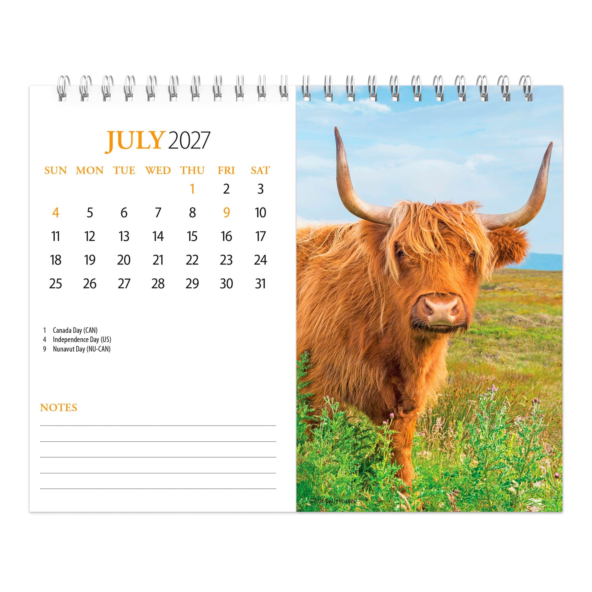 Highland Cows 2027 Easel Calendar