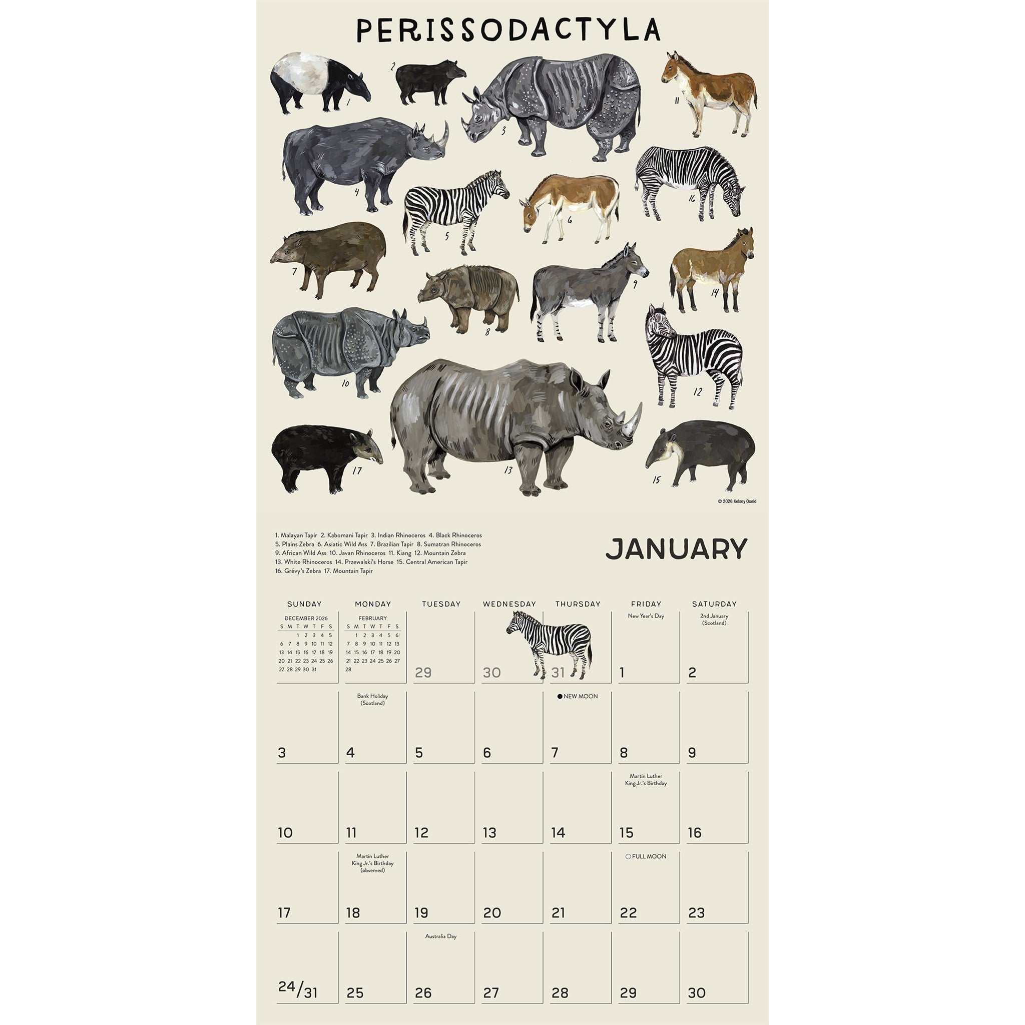 The Illustrated Animal Kingdom 2027 Wall Calendar - Online Only