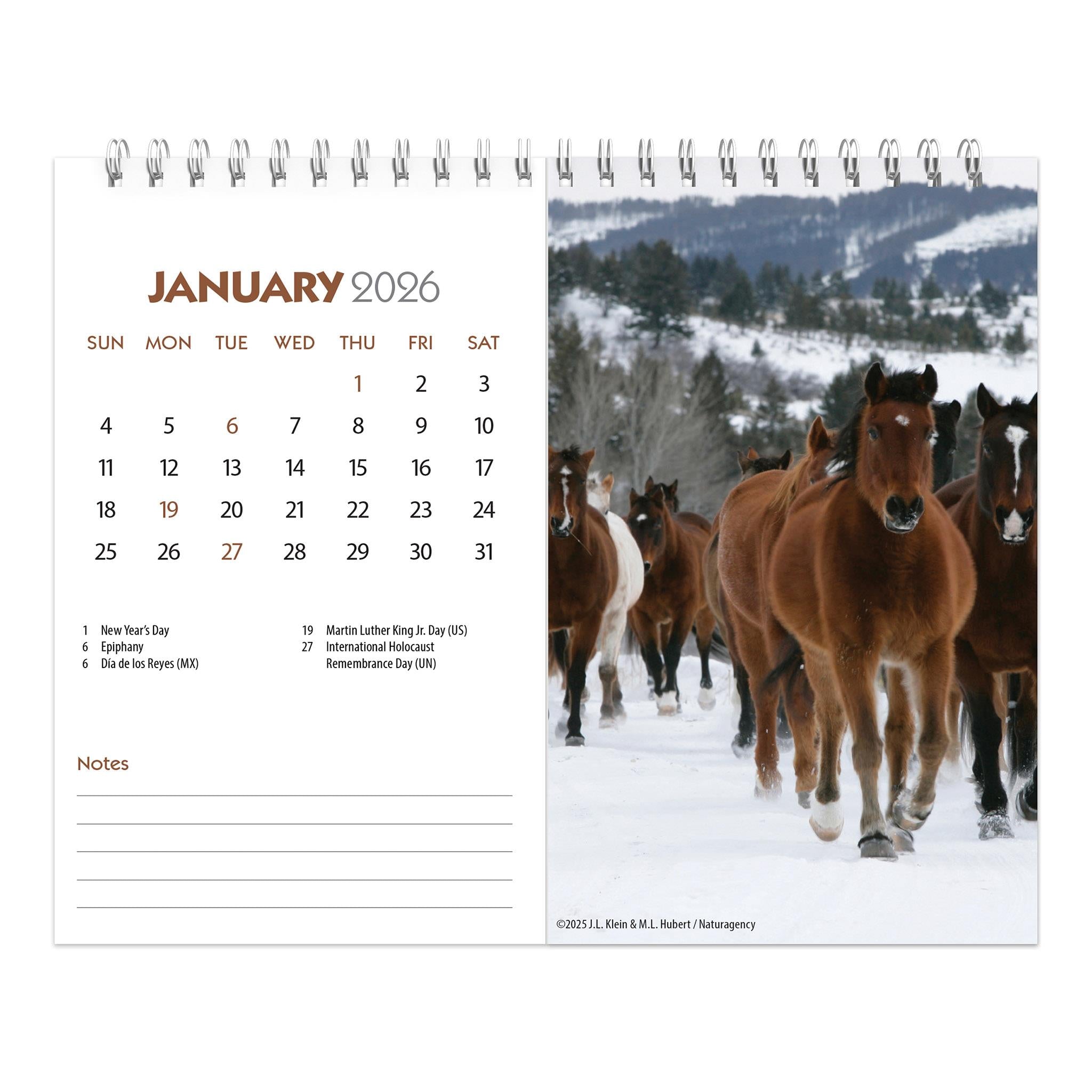 Calendrier chevalet double vue 2026 pour les amoureux des chevaux - Disponible uniquement en ligne