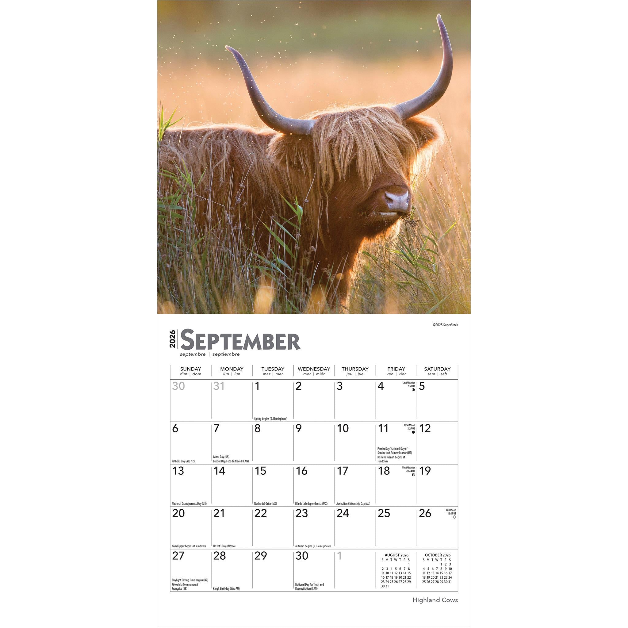 Mini-calendrier des vaches des Highlands 2026