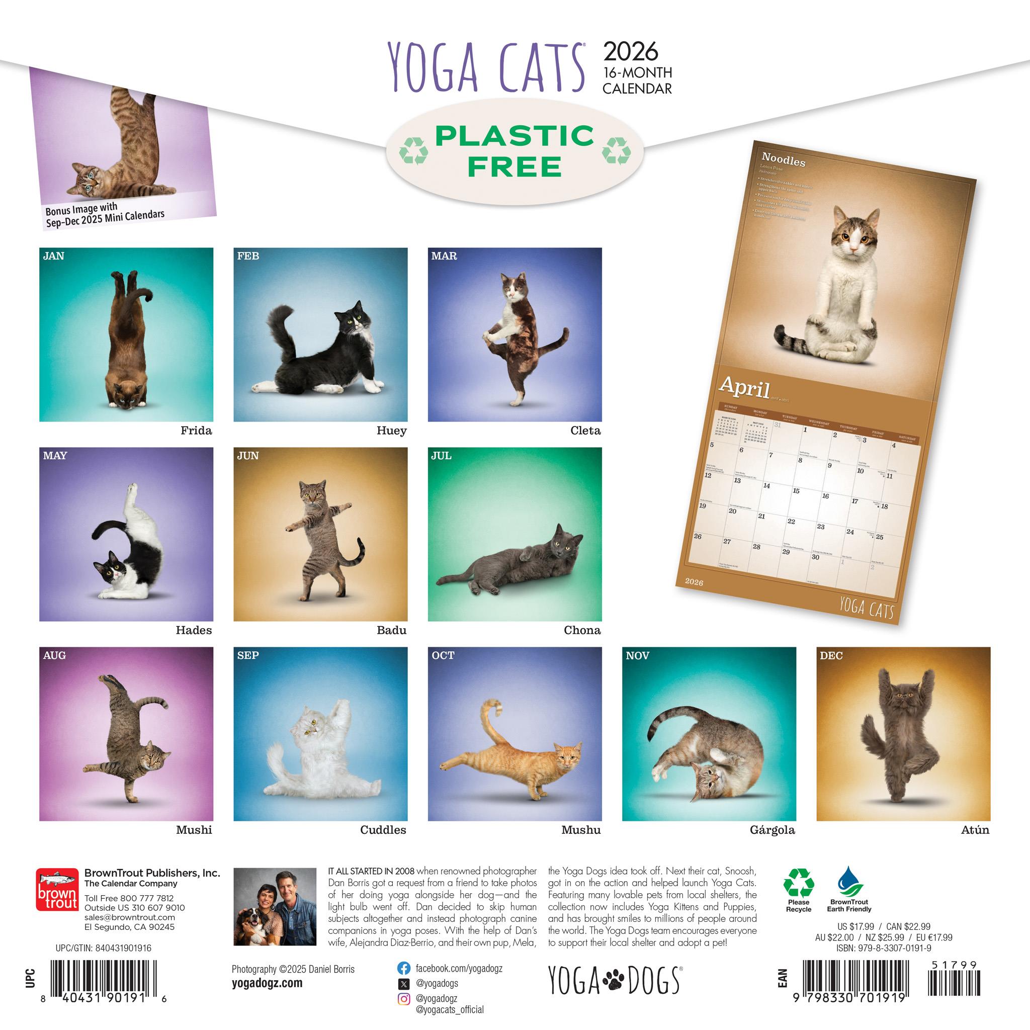 Calendrier mural Yoga Cats 2026