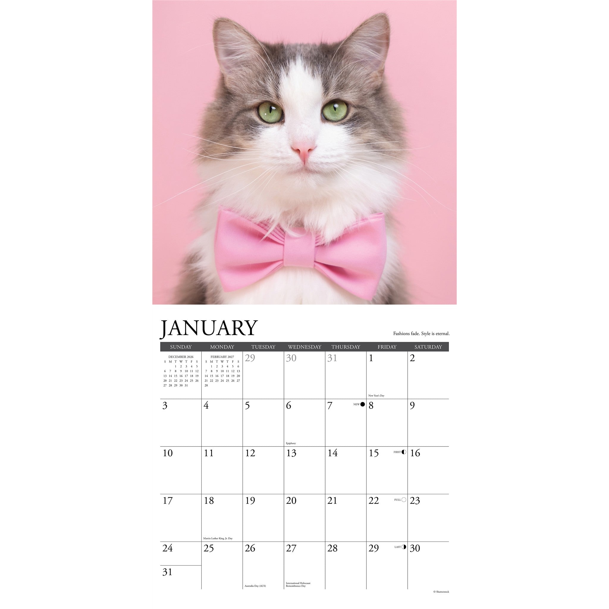 What Cats Teach Us 2027 Wall Calendar