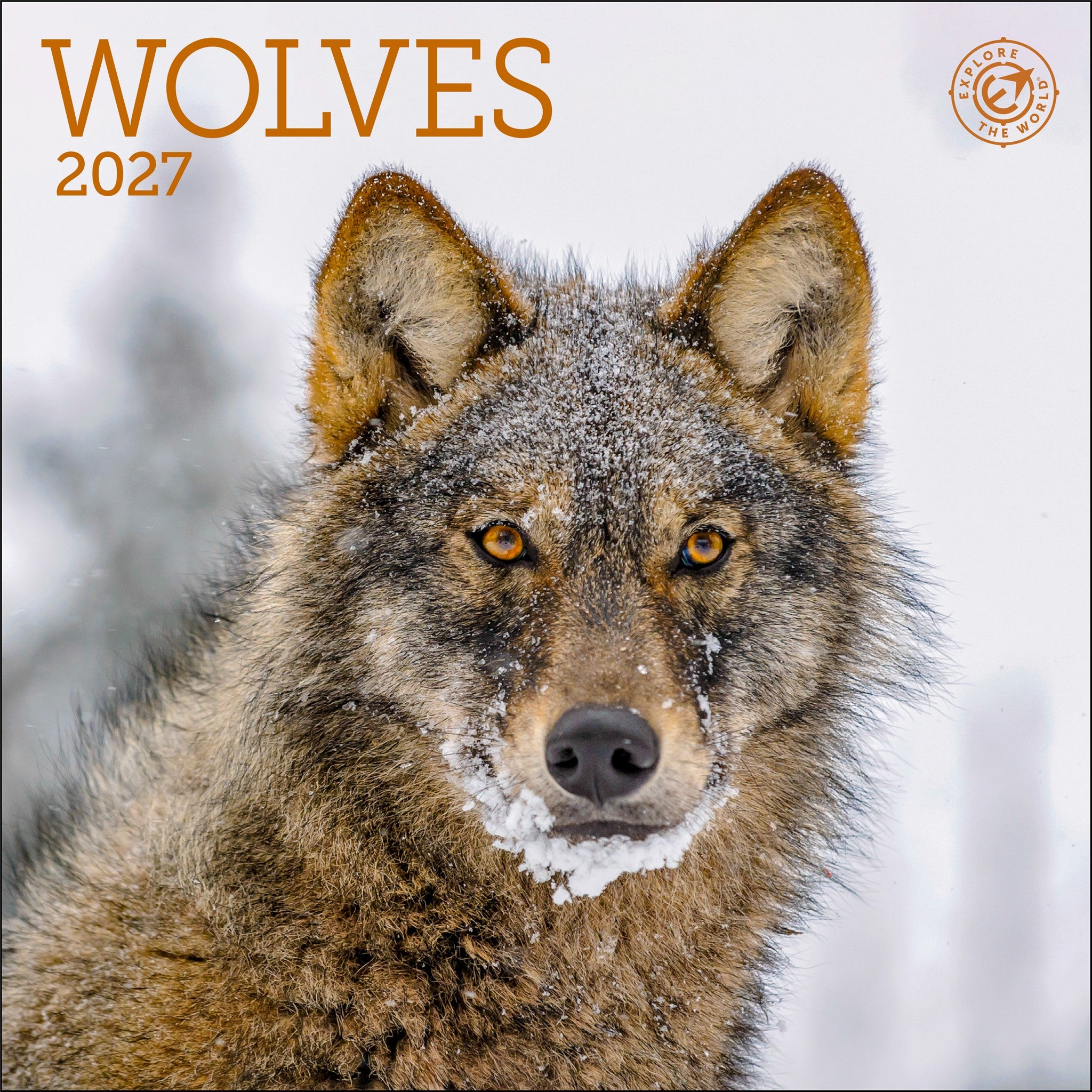 Mini Calendrier Loups 2027