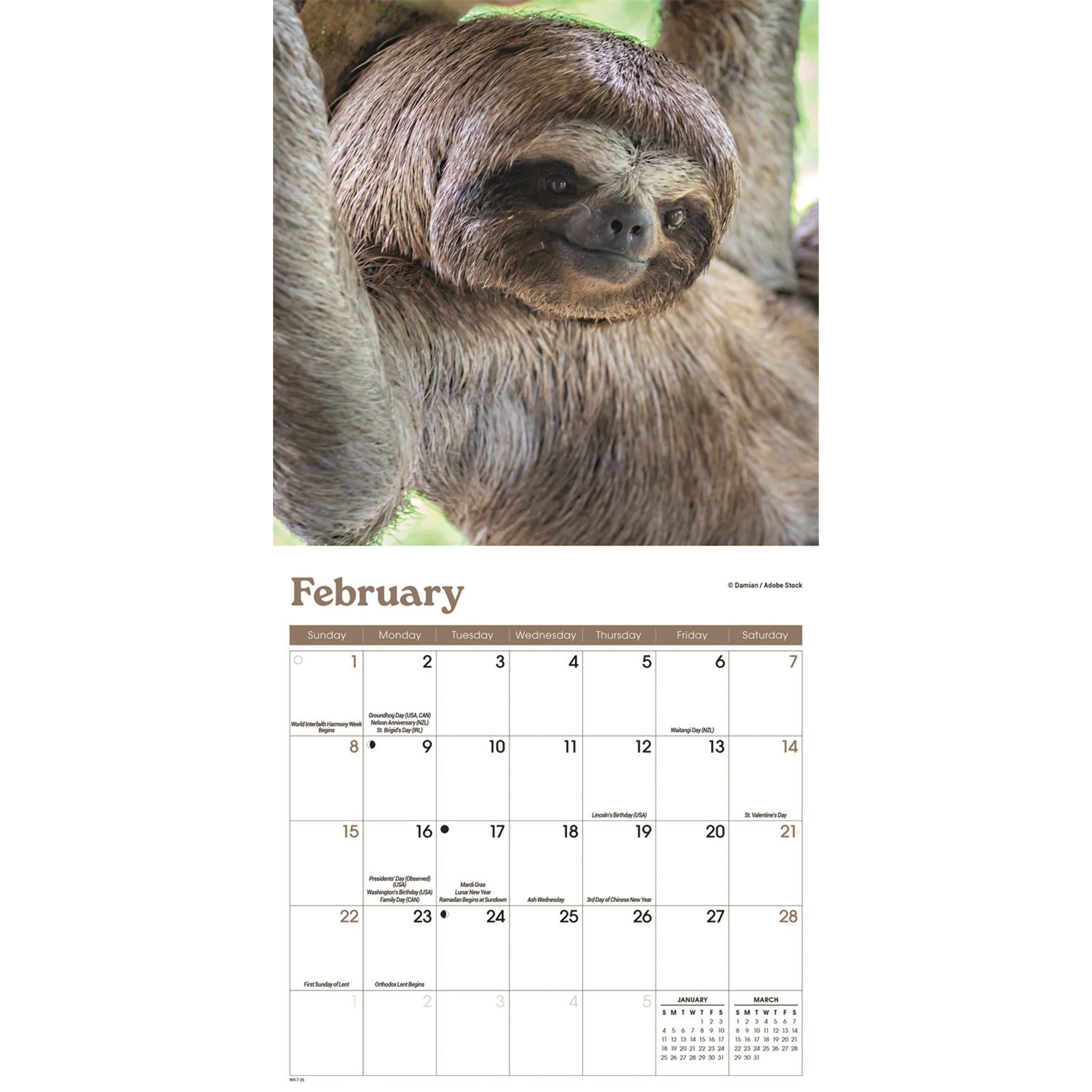 Sloths 2026 Mini Calendar