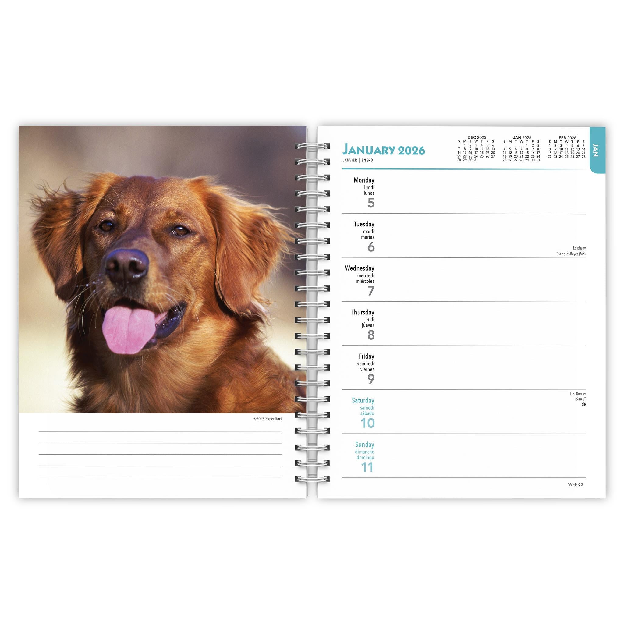 Golden Retrievers 2026 Engagement Calendar - Online Only