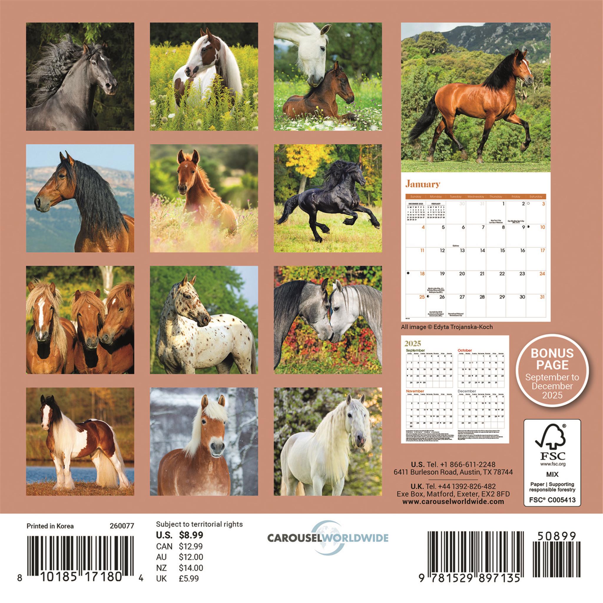 Mini-calendrier des chevaux 2026