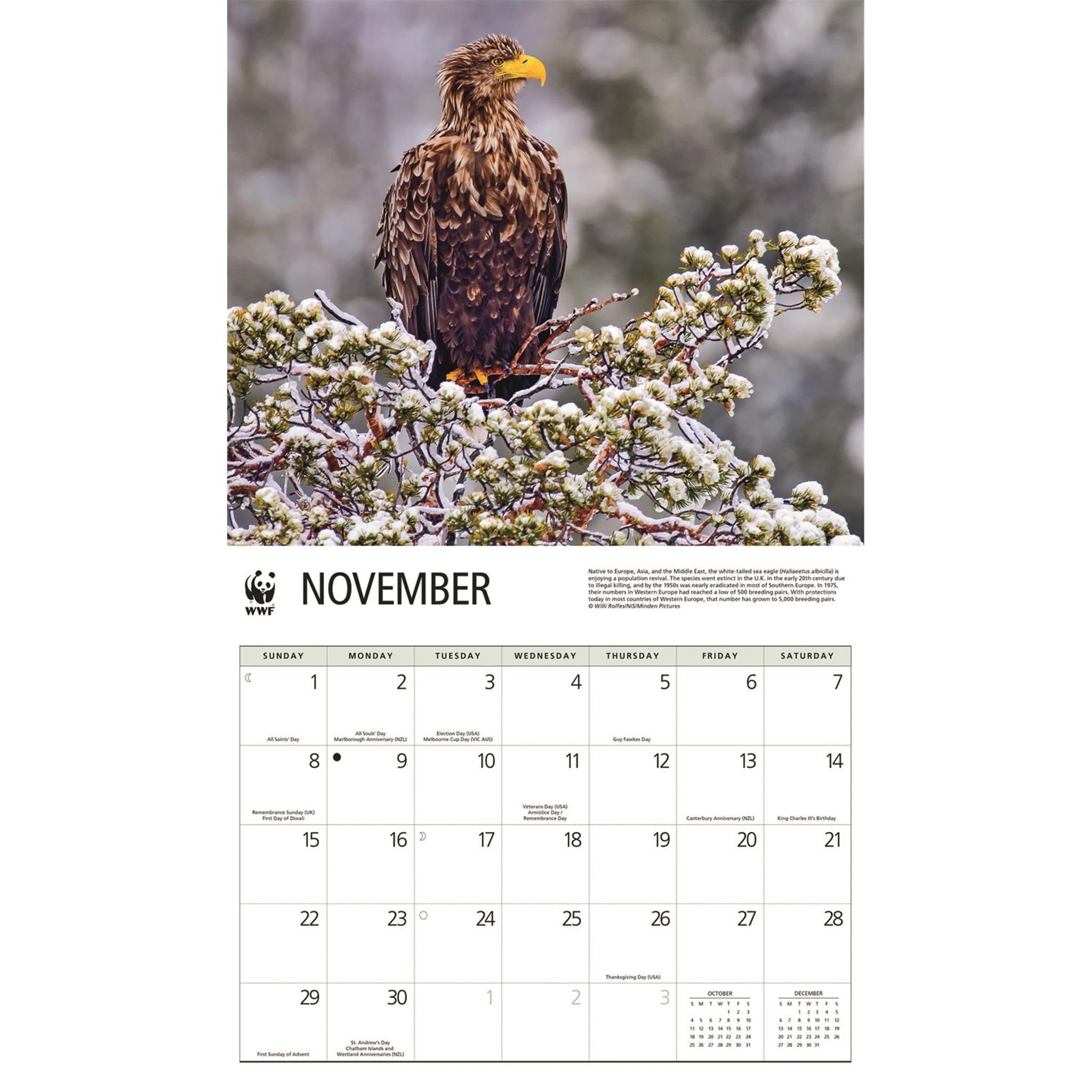 World Wildlife Fund Eagles 2026 Wall Calendar