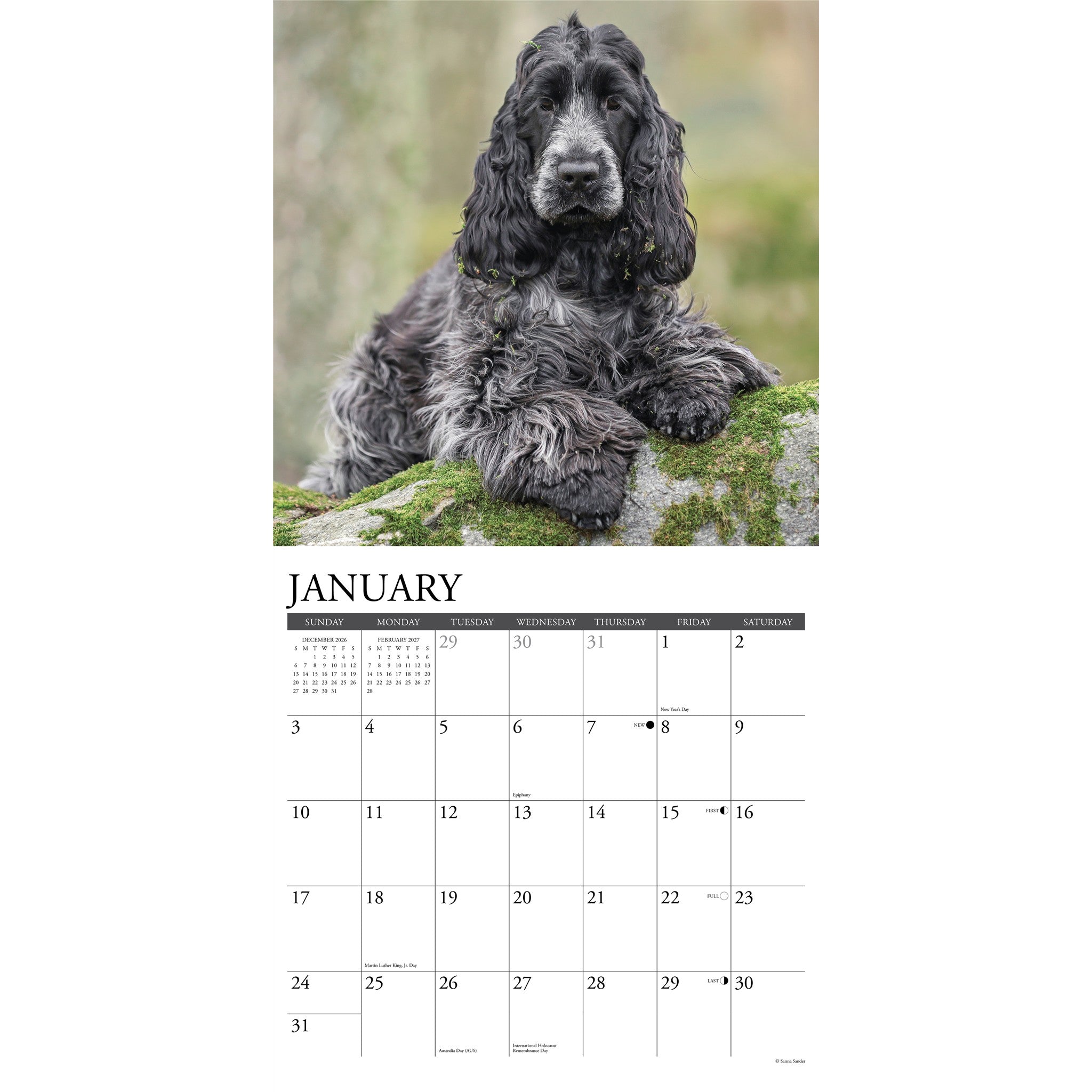 Cocker Spaniels 2027 Wall Calendar