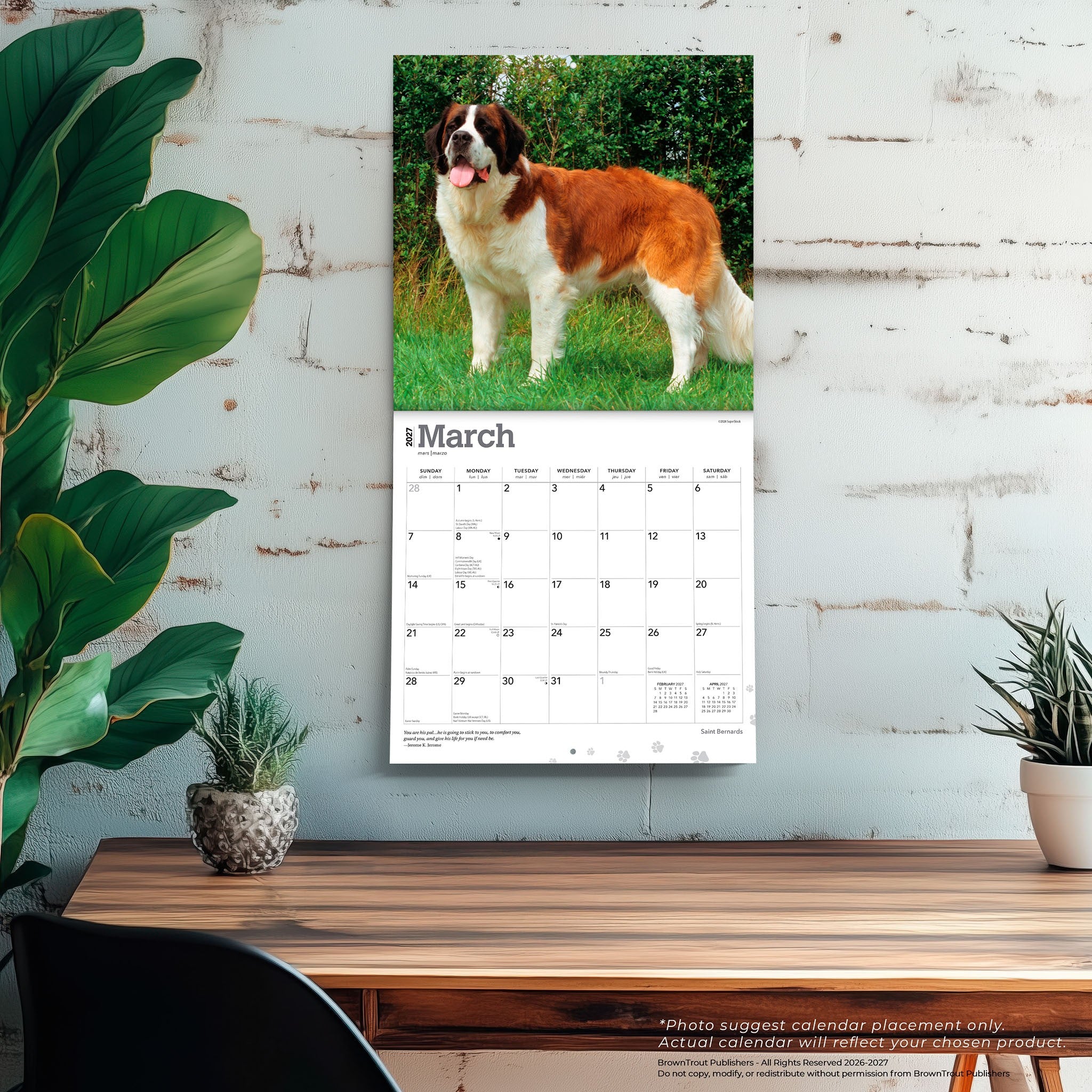 Saint Bernards 2027 Wall Calendar