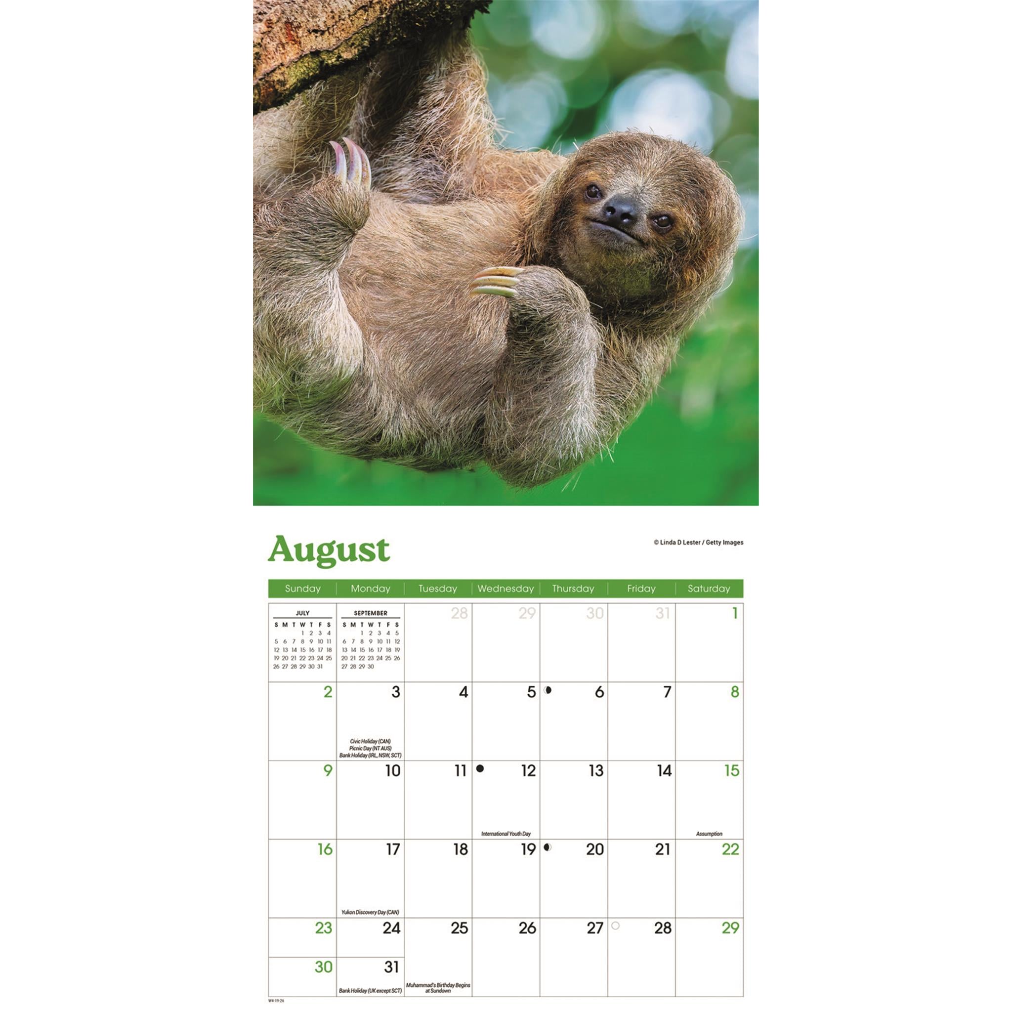 Sloths 2026 Mini Calendar