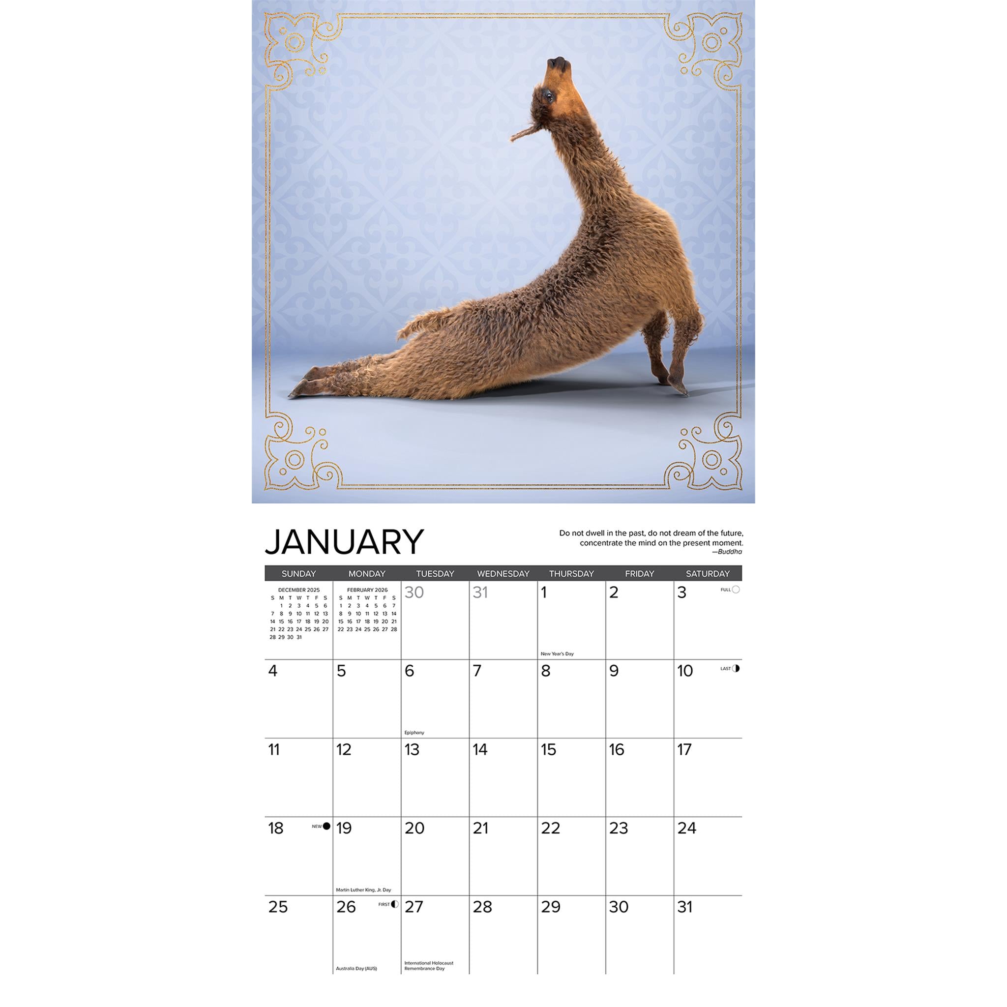 Llama Yoga 2026 Wall Calendar