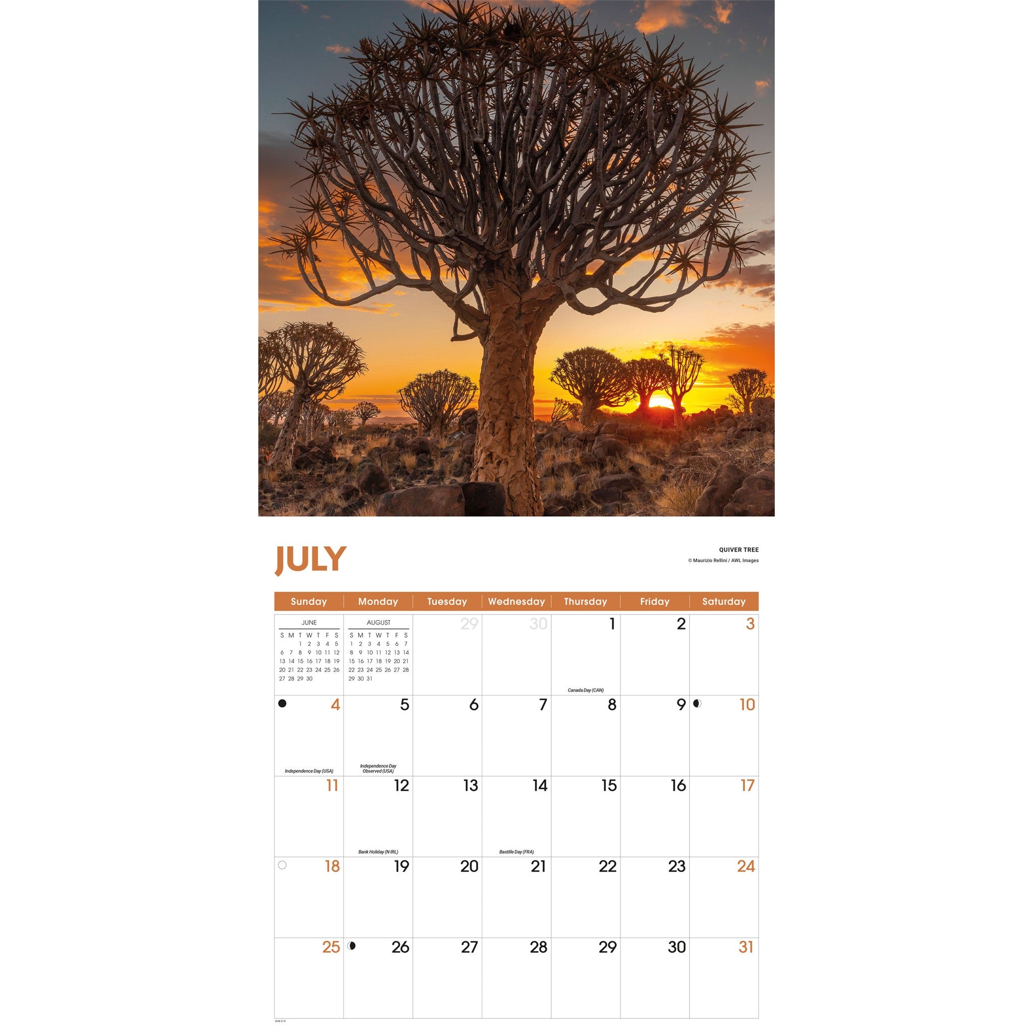 Calendrier mural Arbres 2027