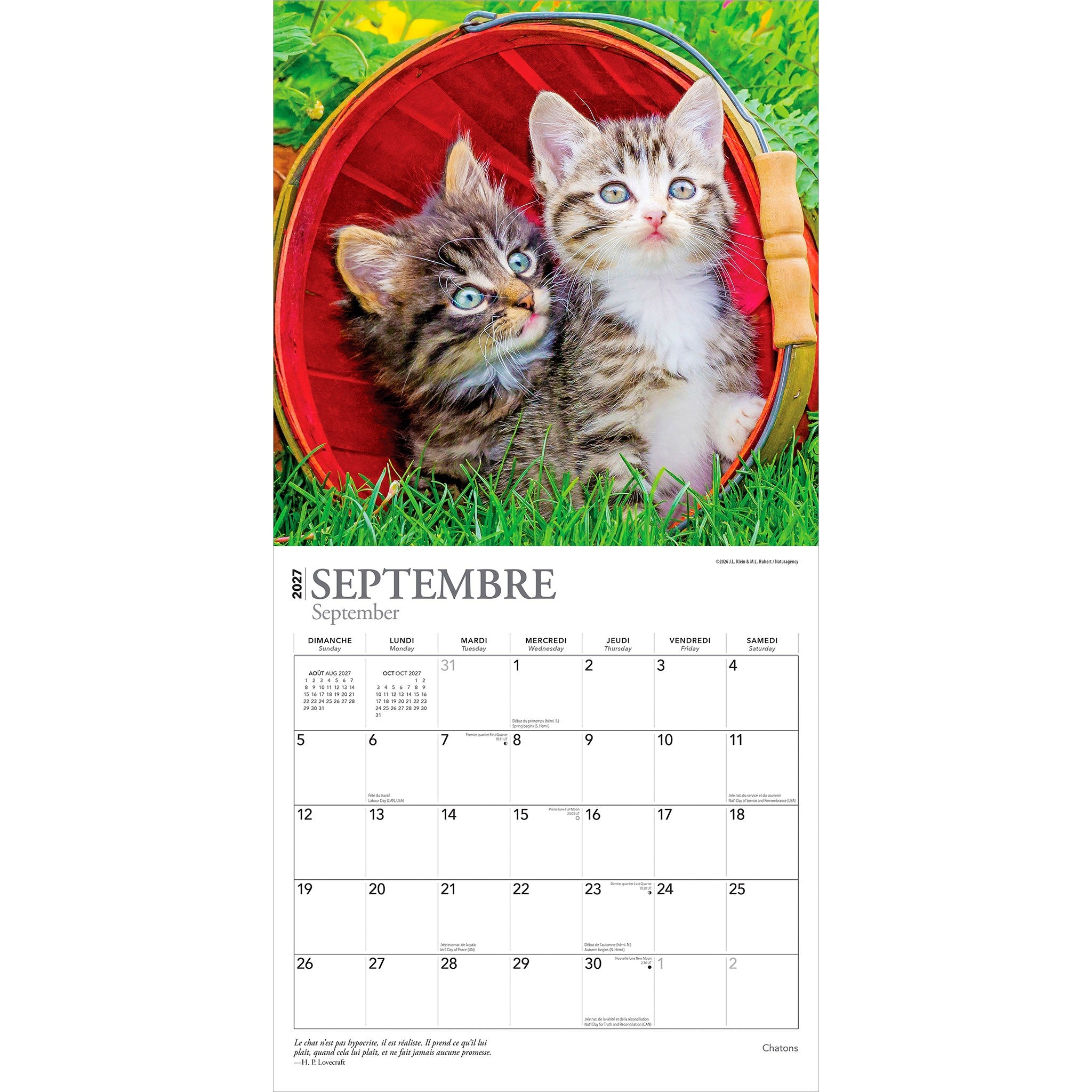 Chatons 2027 Wall Calendar (French)
