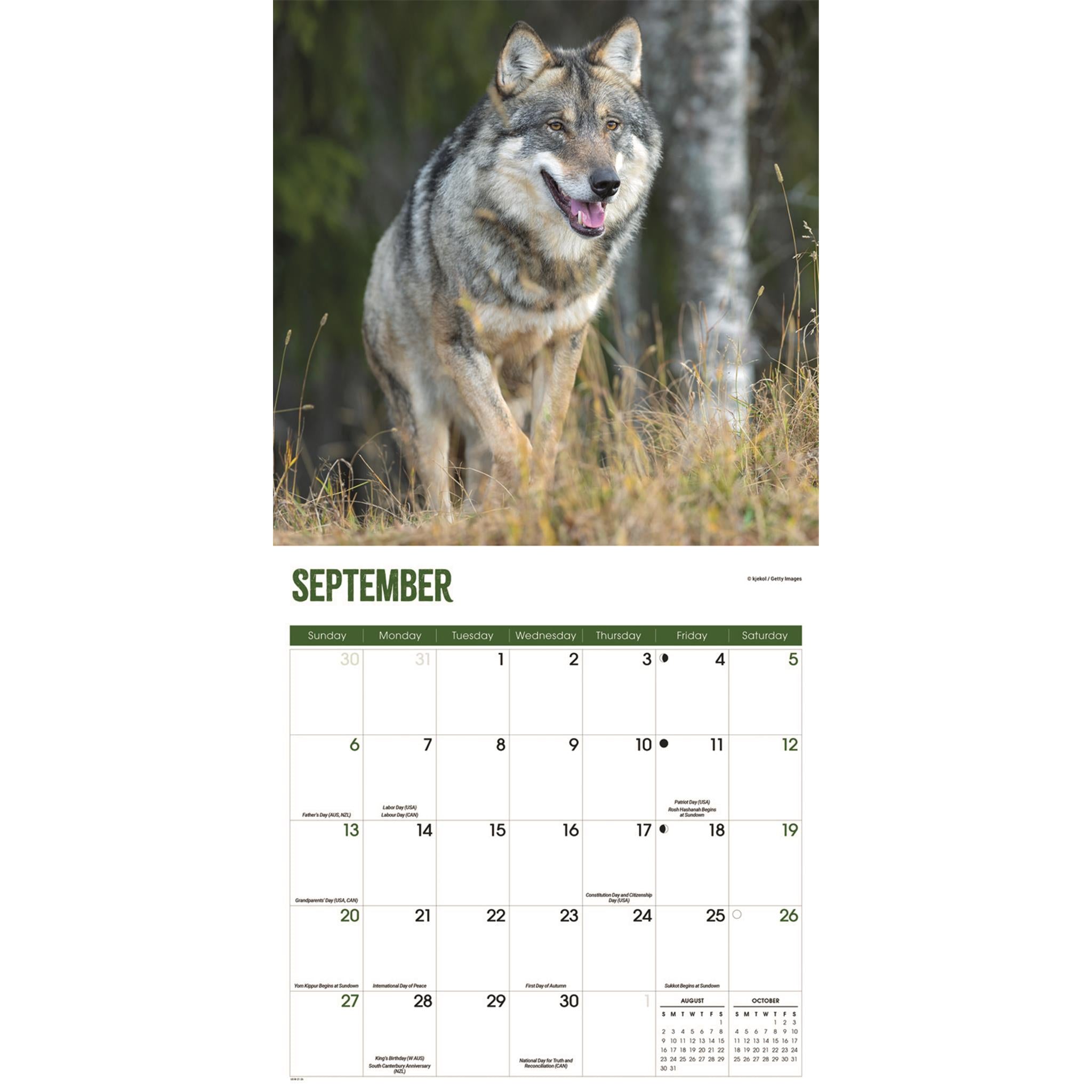 Wolves 2026 Wall Calendar