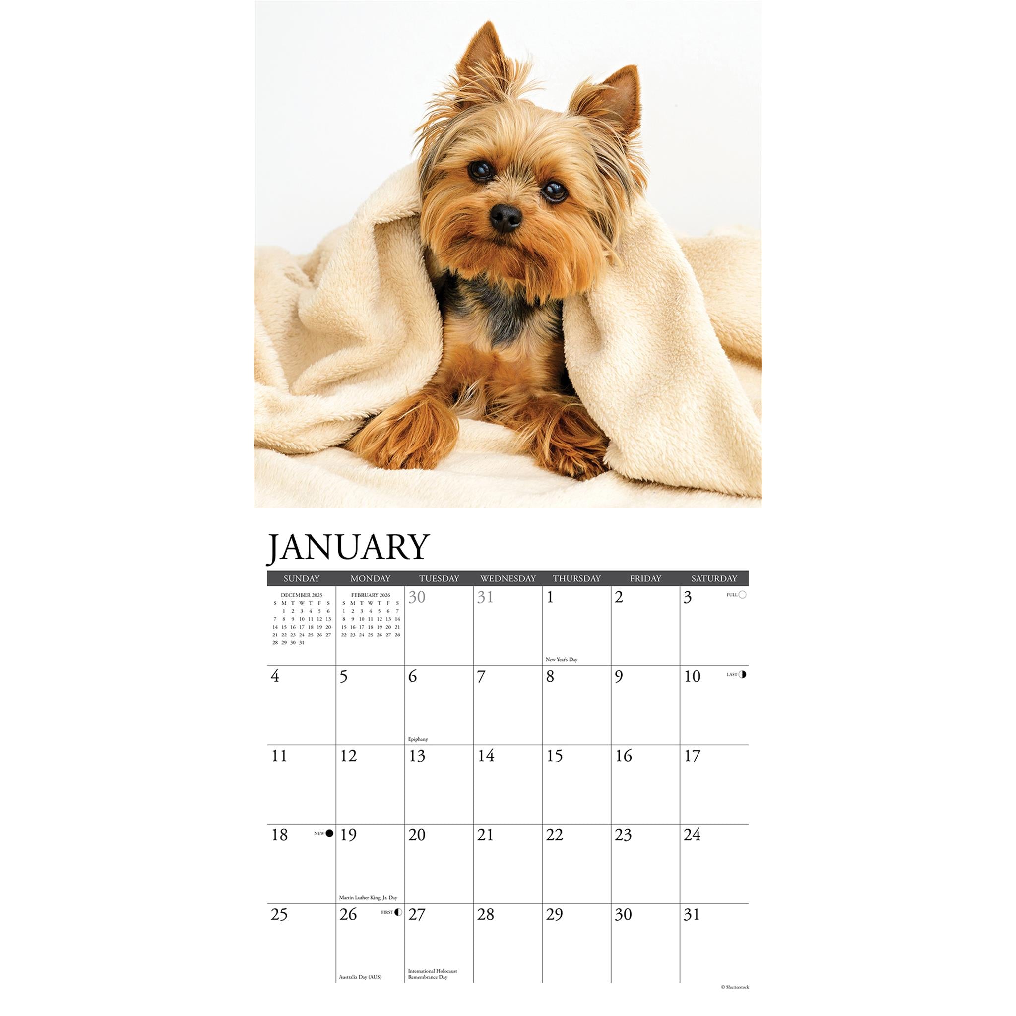 Calendrier mural Just Yorkies 2026