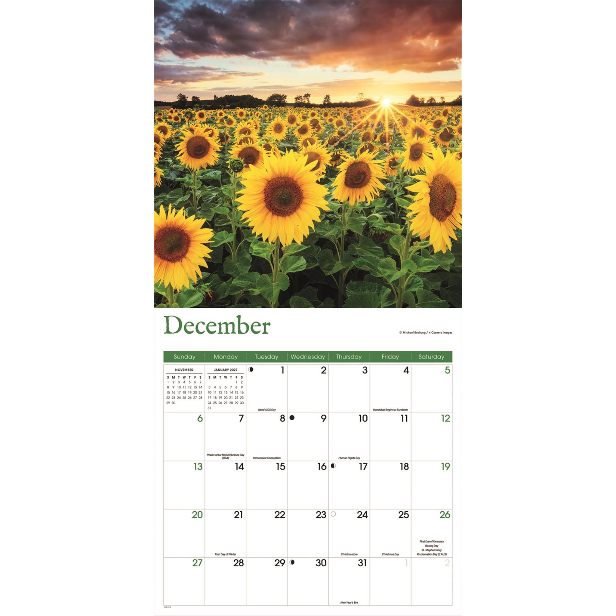 Sunflowers 2026 Wall Calendar