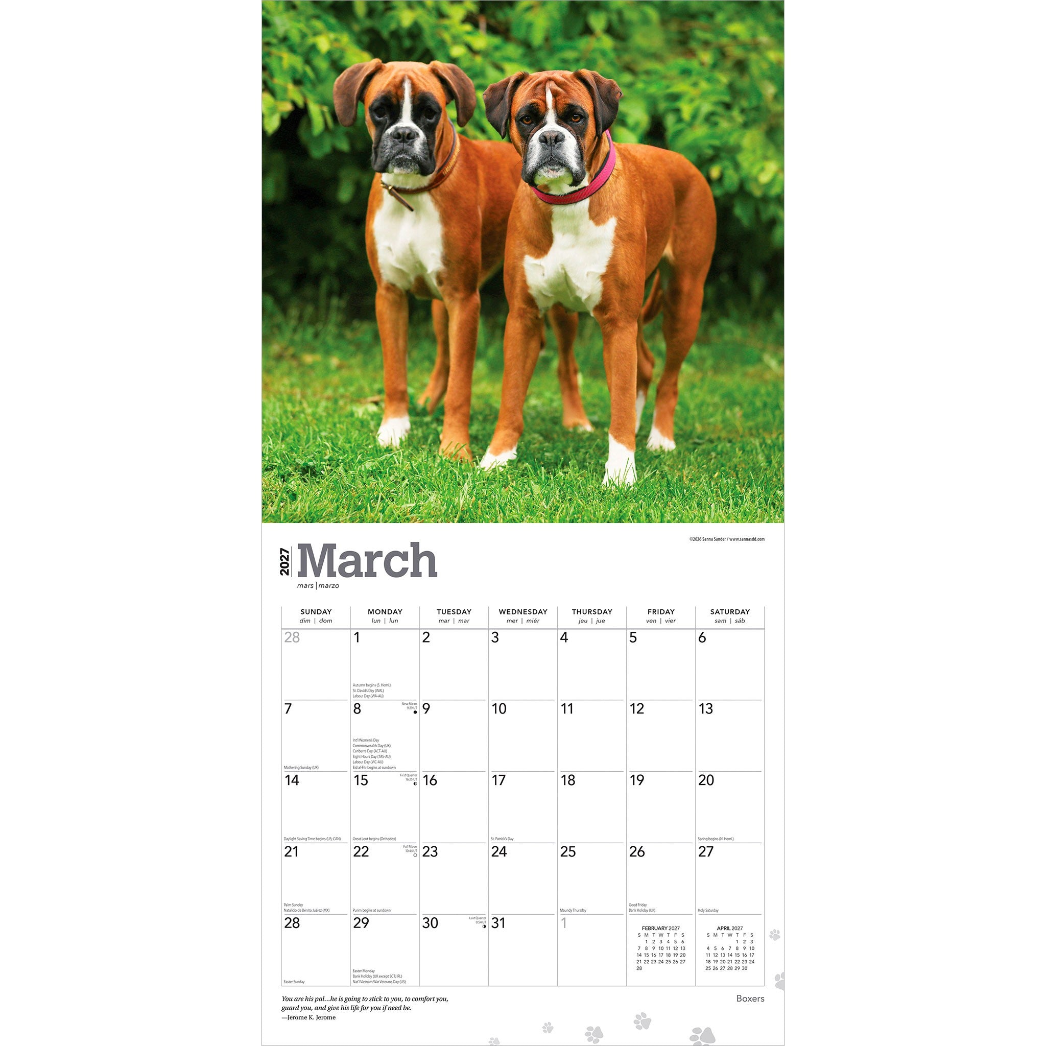 Boxers International 2027 Wall Calendar