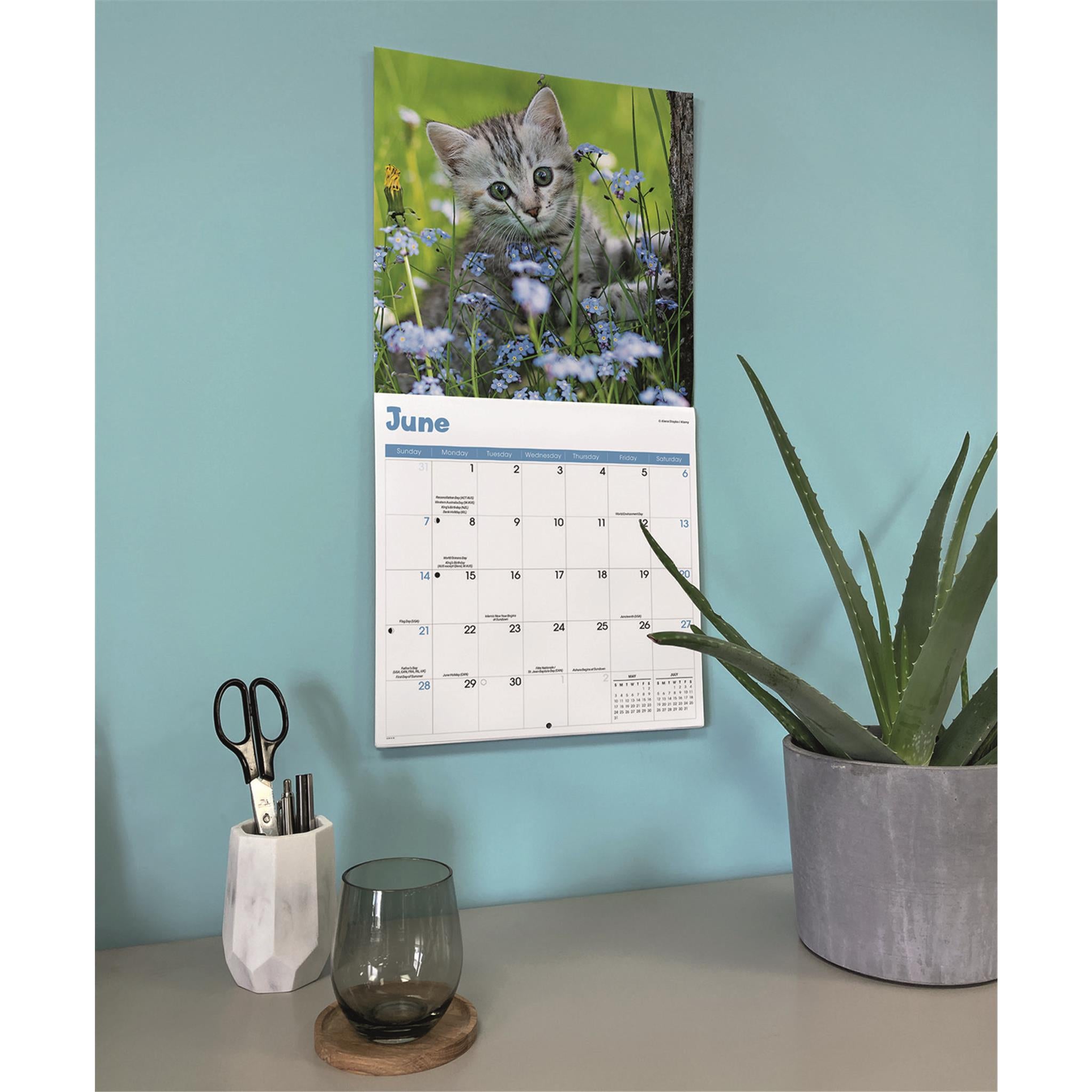 Curious Kittens 2026 Wall Calendar
