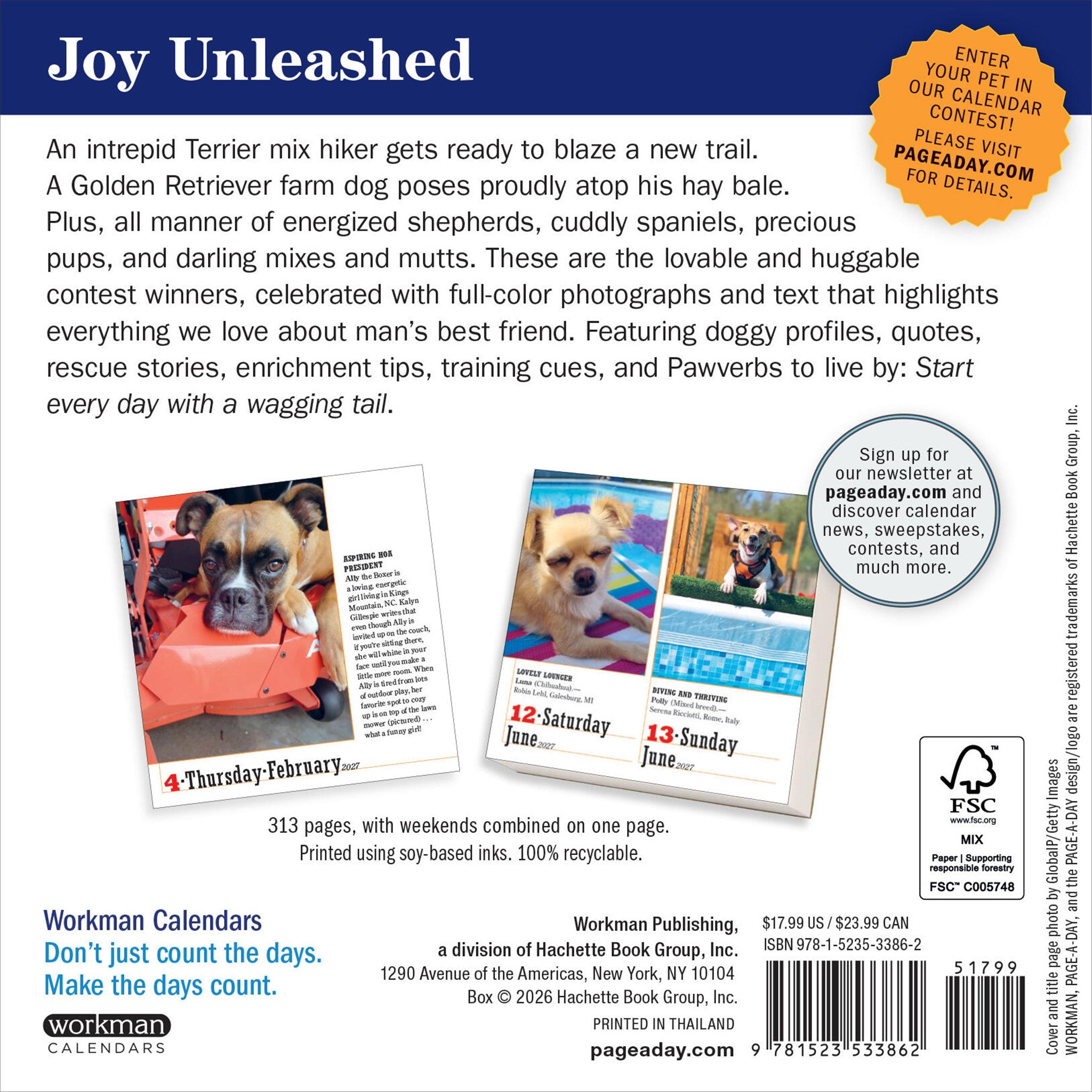 365 Dogs 2027 Box Calendar
