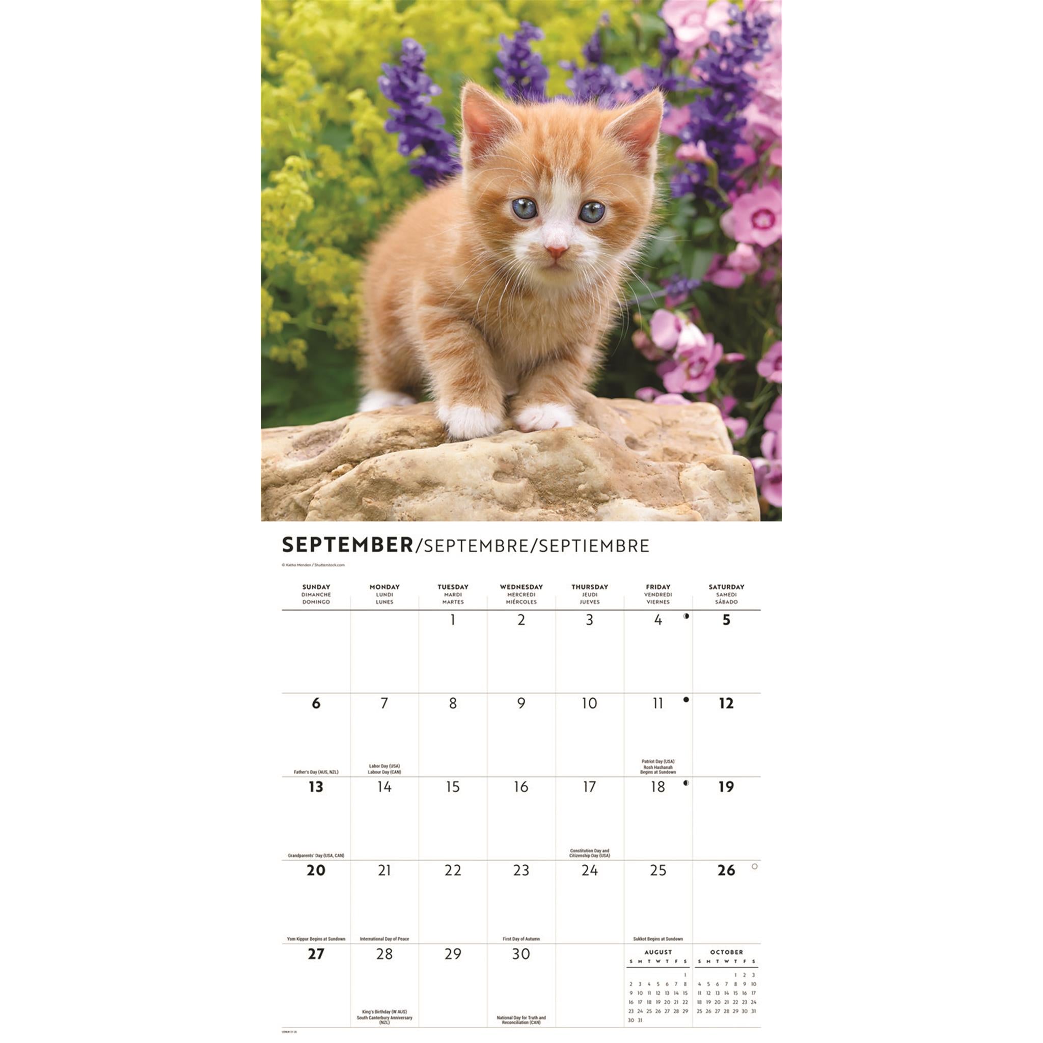 Cute Kittens 2026 Wall Calendar