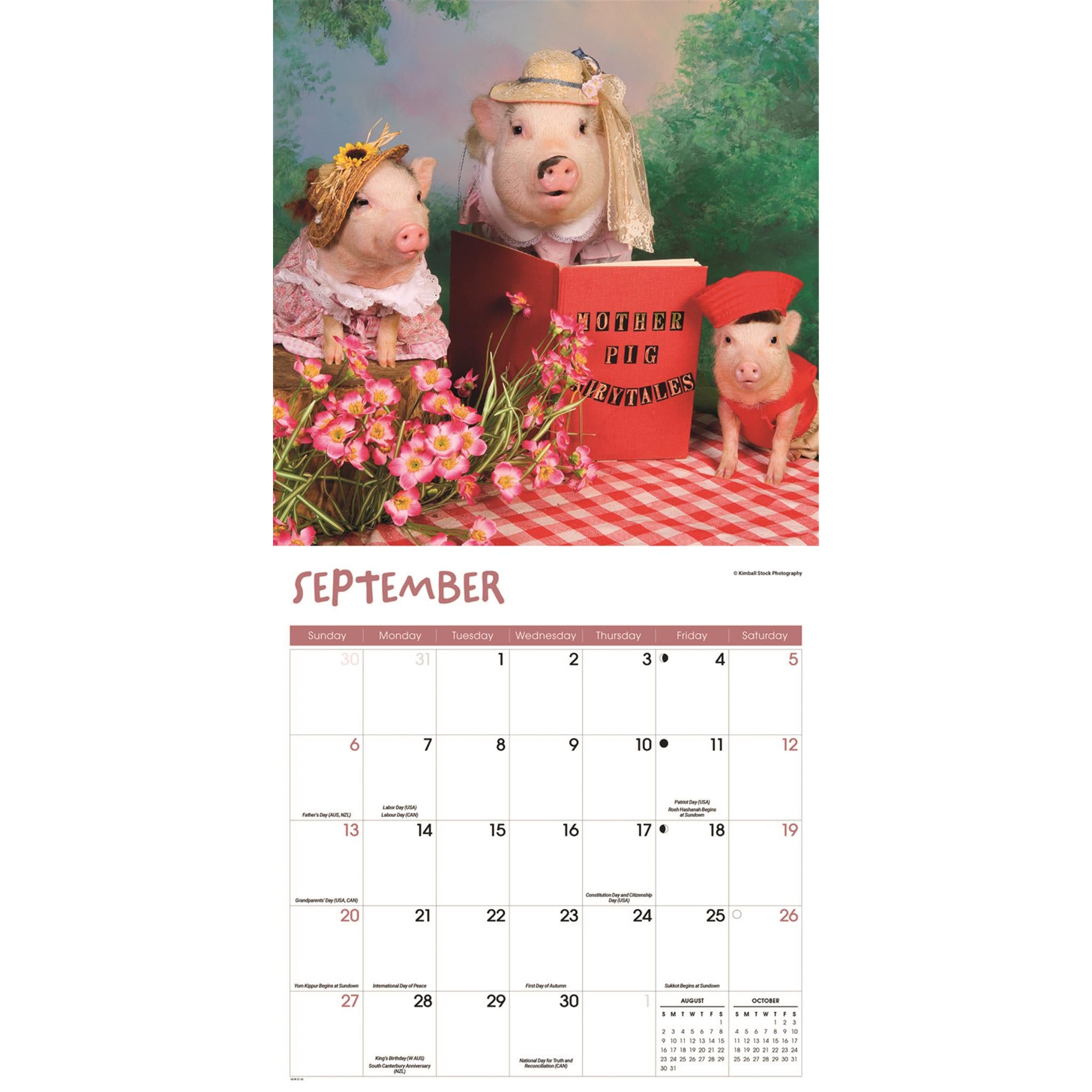Pigs Playful 2026 Wall Calendar