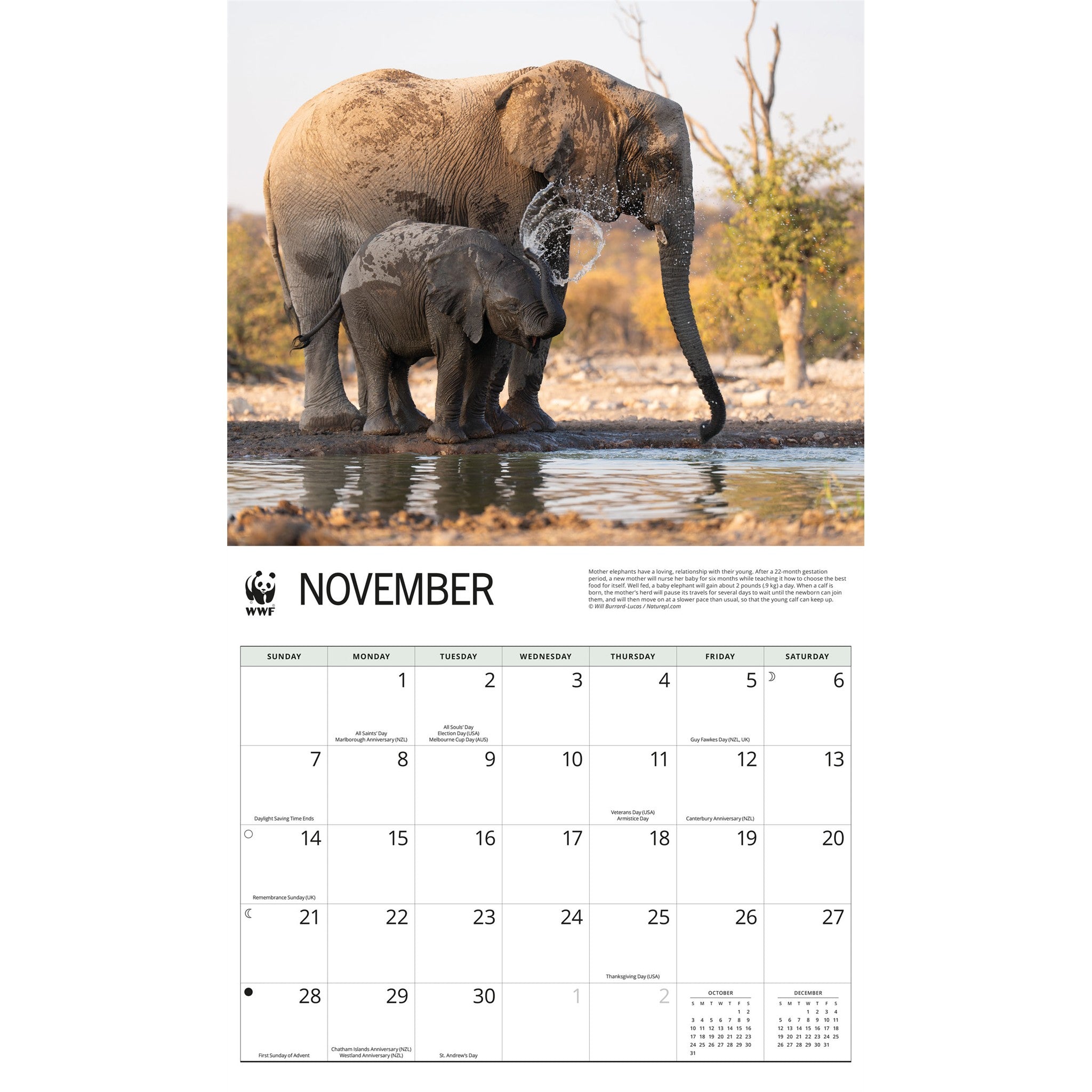 Calendrier mural 2027 Éléphants du Fonds Mondial pour la Nature