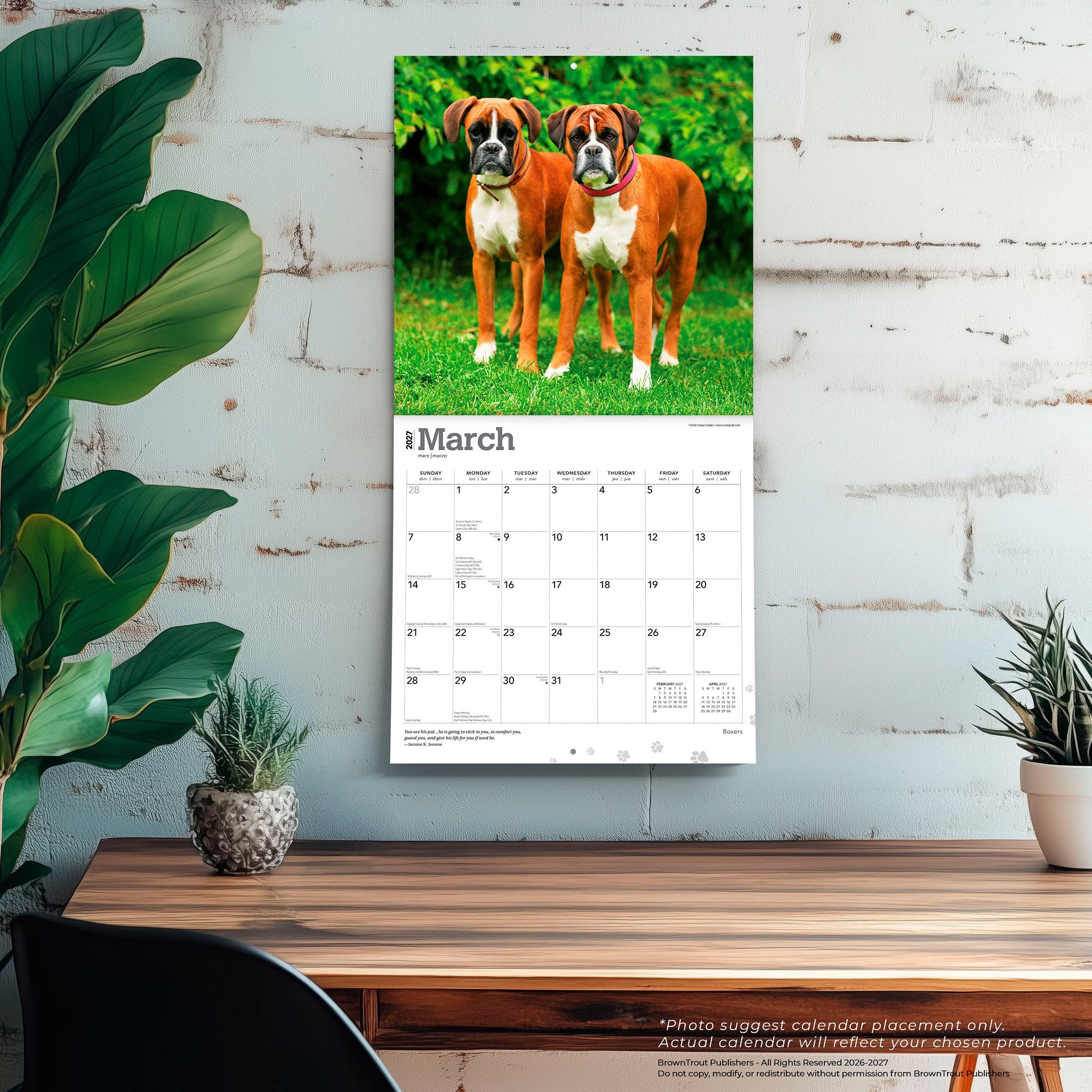 Boxers International 2027 Wall Calendar