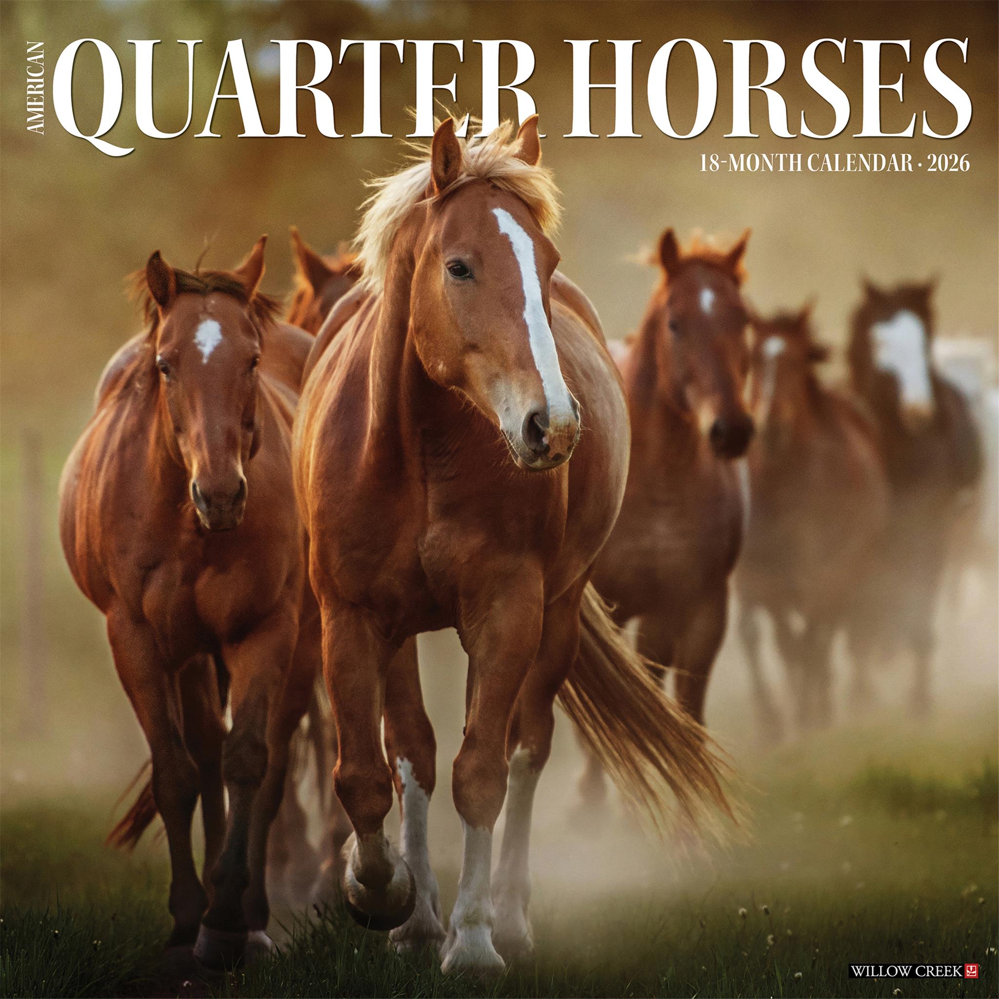 American Quarter Horses 2026 Wall Calendar