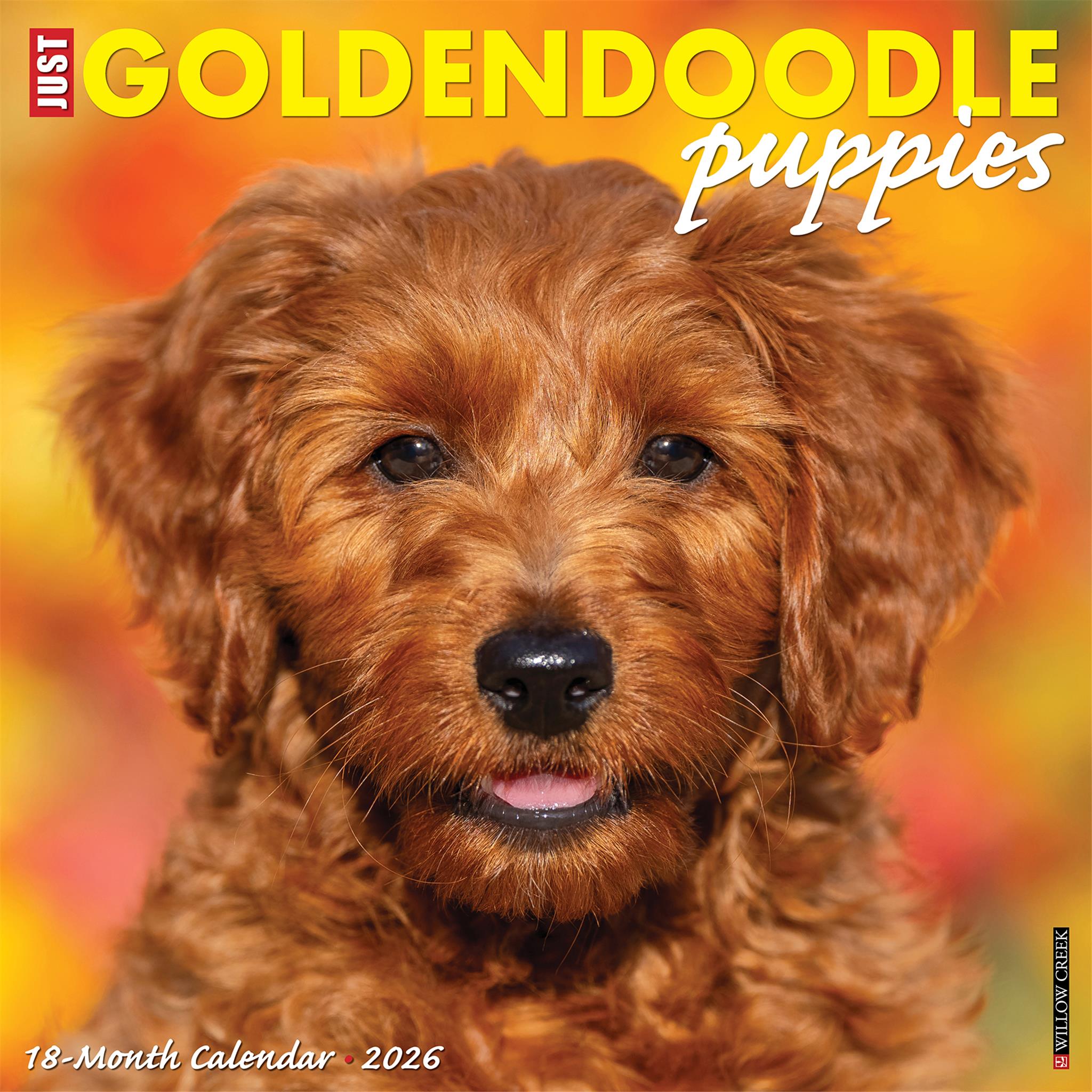 Calendrier mural 2026 « Just Goldendoodle Puppies »