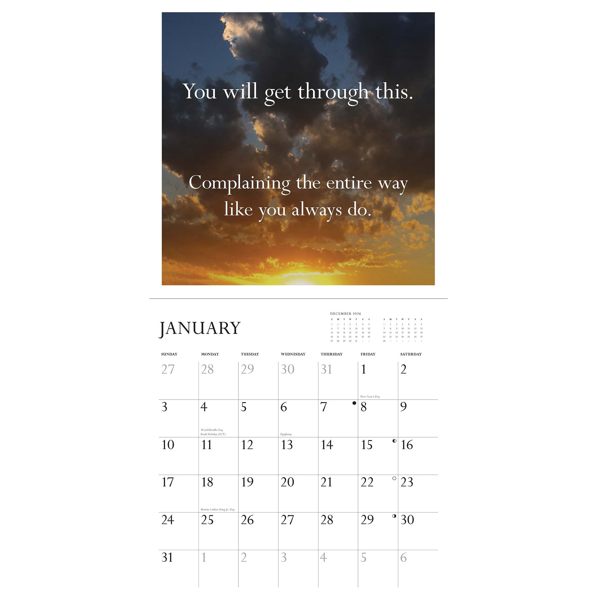 Disappointing Affirmations 2027 Wall Calendar