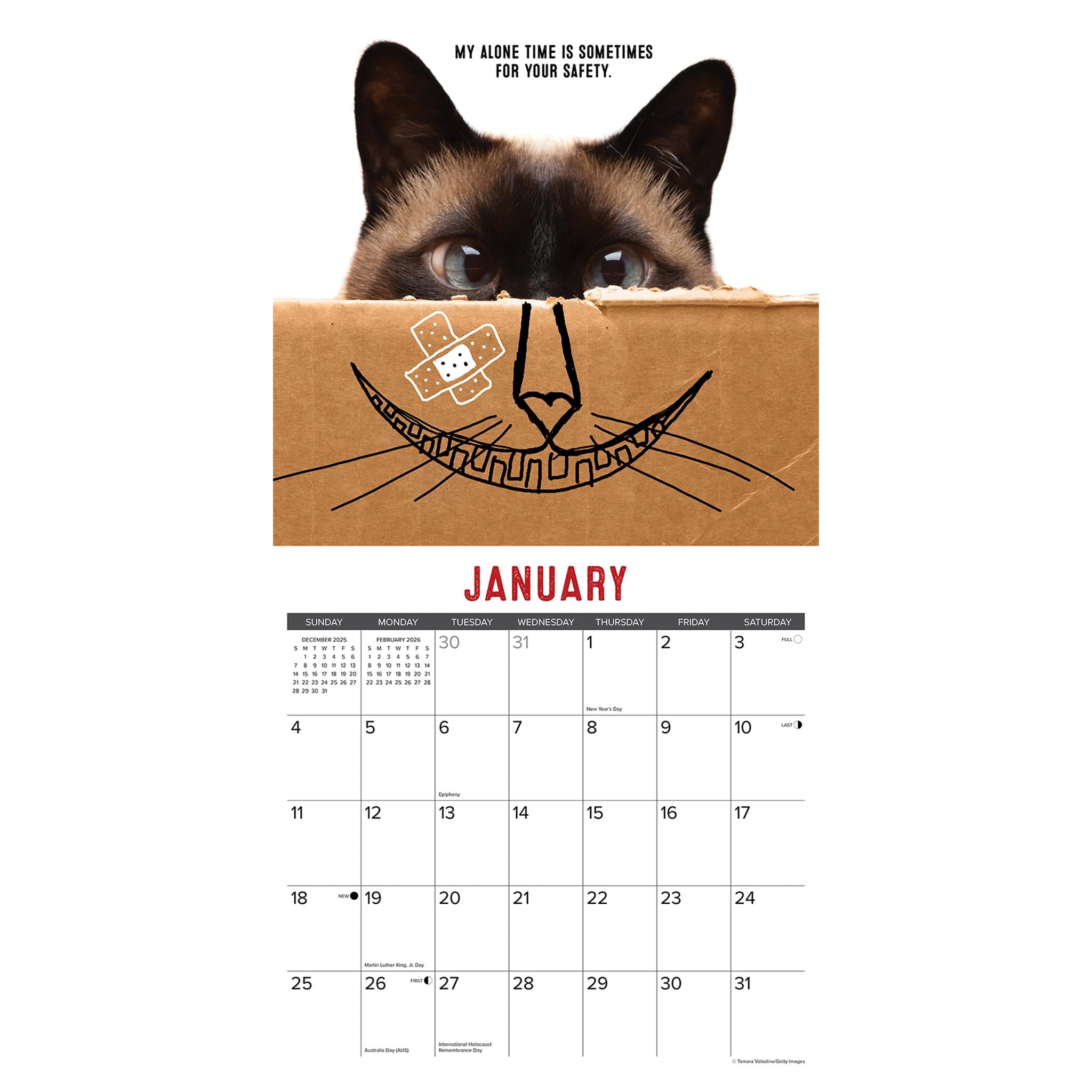 Calendrier mural Bad Kitties 2026