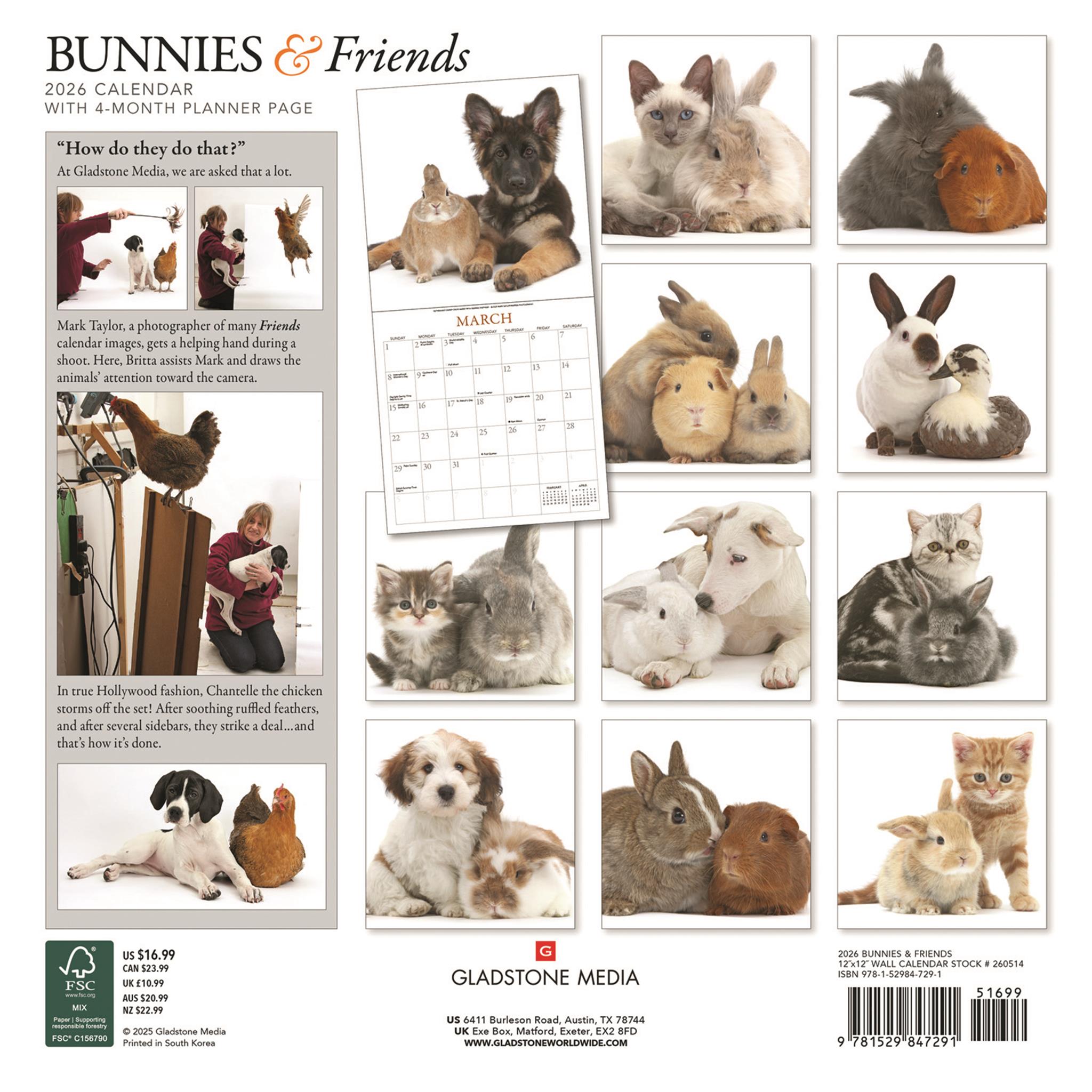 Calendrier mural Lapins et Amis 2026