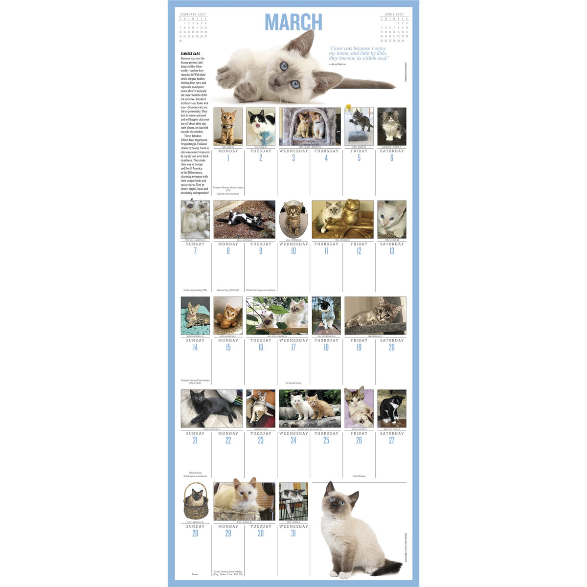 Calendrier Mural 365 Chatonniers par An 2027