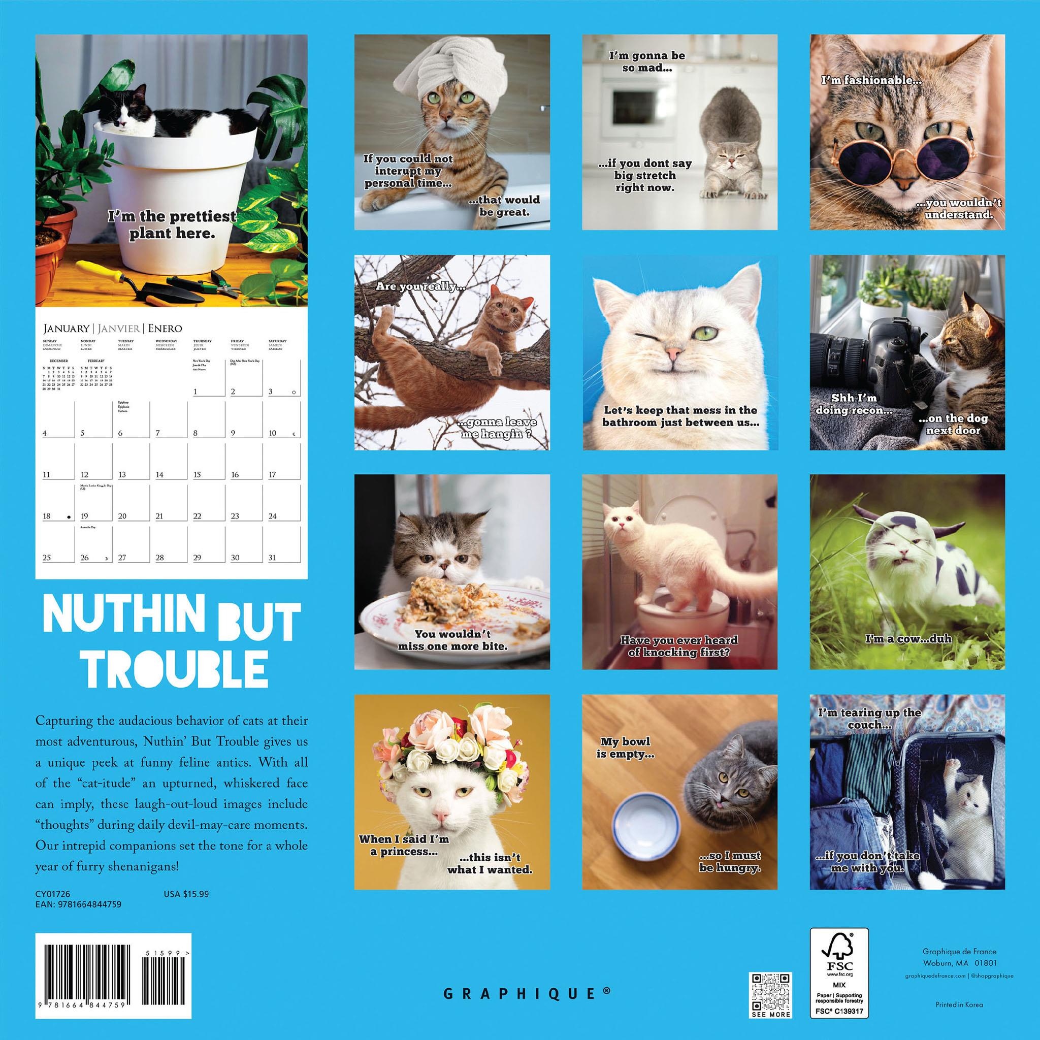 Nuthin' But Trouble 2026 Wall Calendar - Online Only