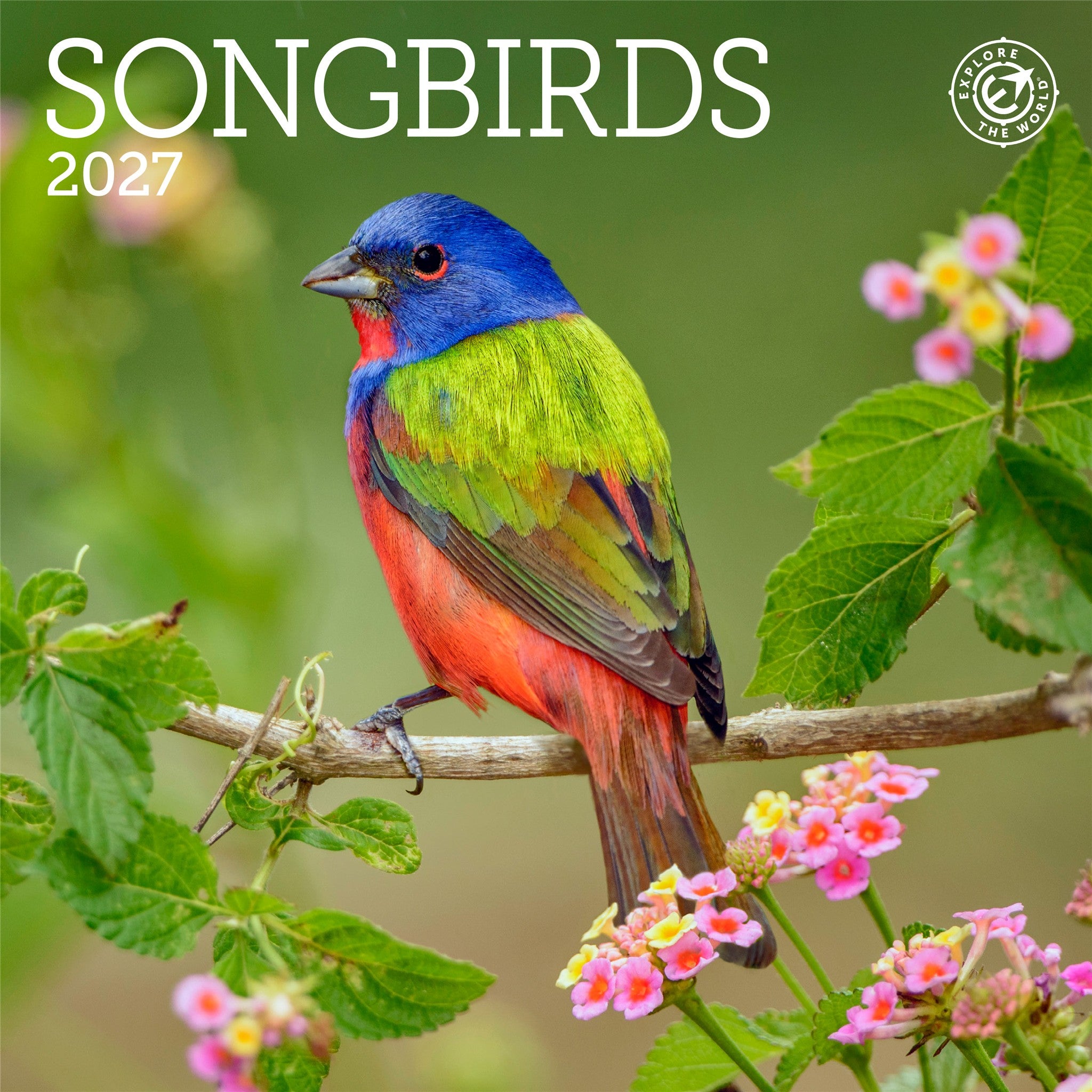 Mini-calendrier 2027 Oiseaux chanteurs