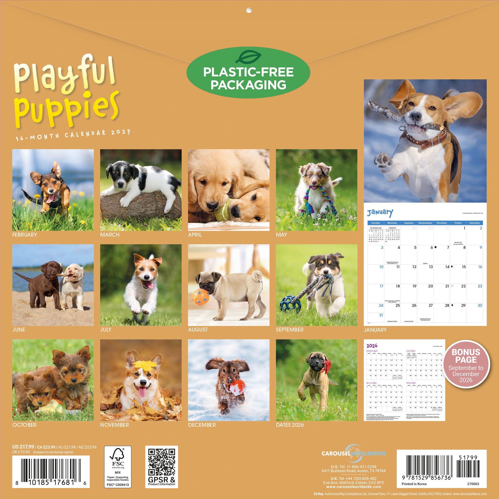 Calendrier mural 2027 Chiots joueurs