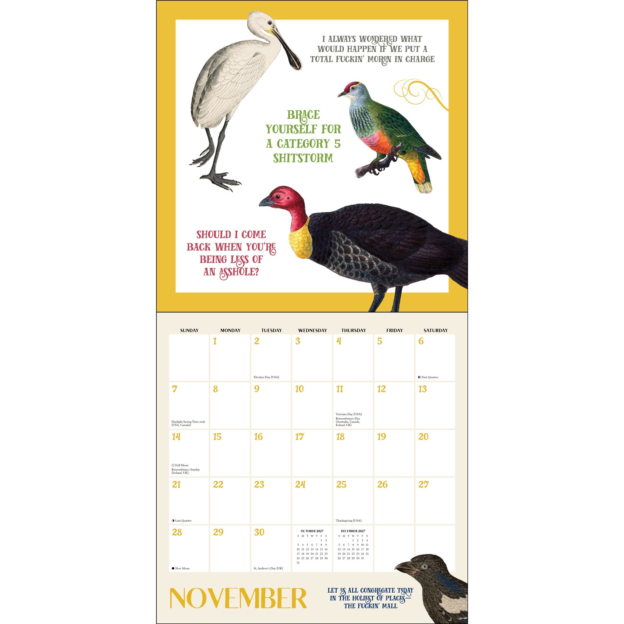 Calendrier mural Effin' Birds 2027