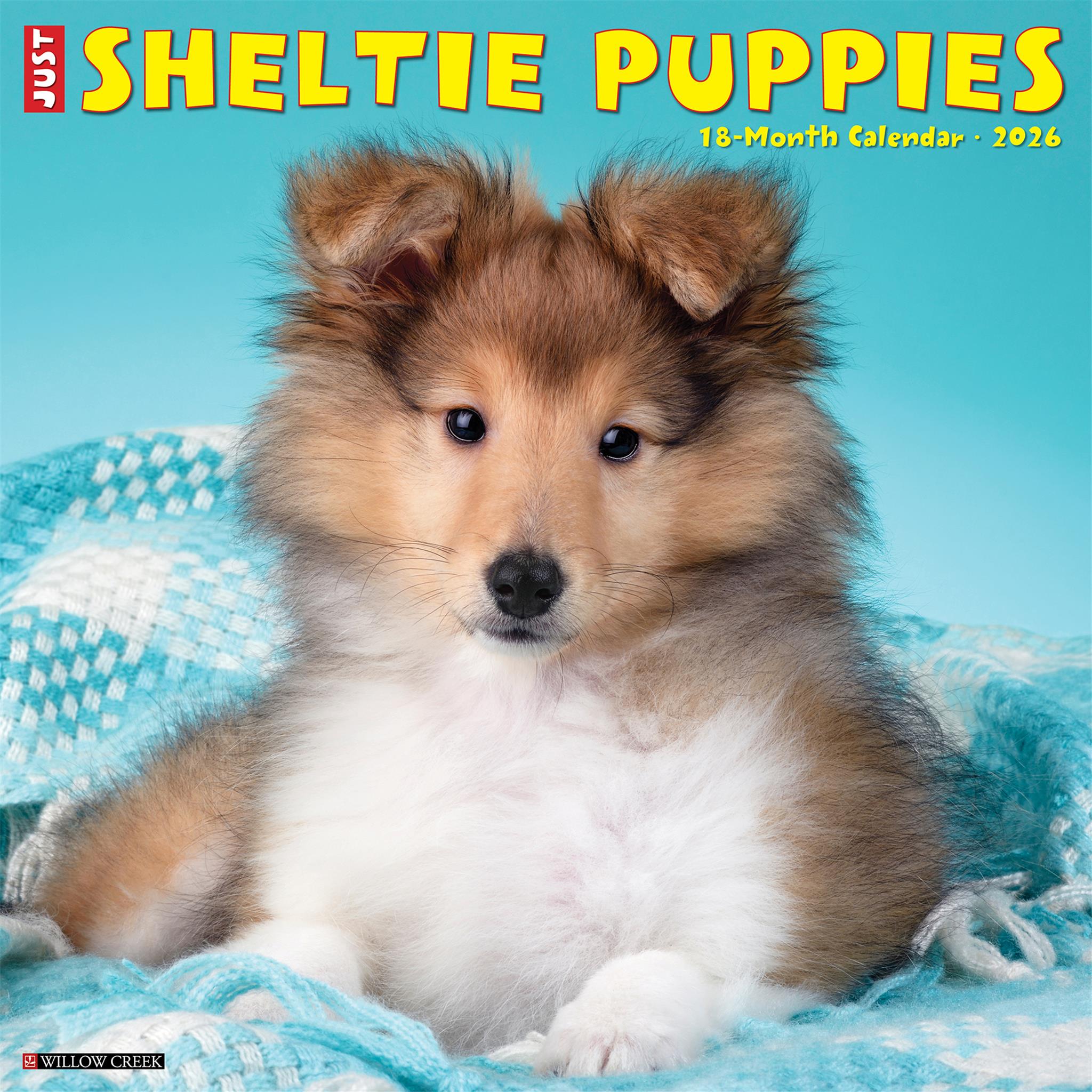 Calendrier mural 2026 « Just Sheltie Puppies » - Disponible uniquement en ligne