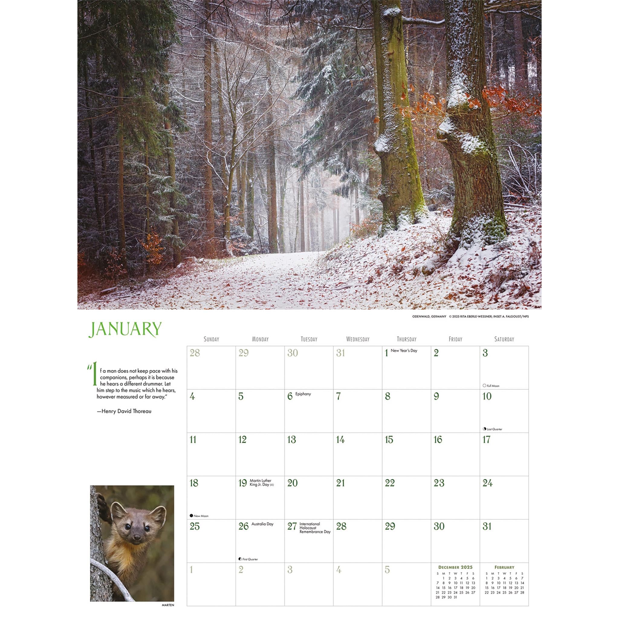 Into The Woods Oversized 2026 Wall Calendar