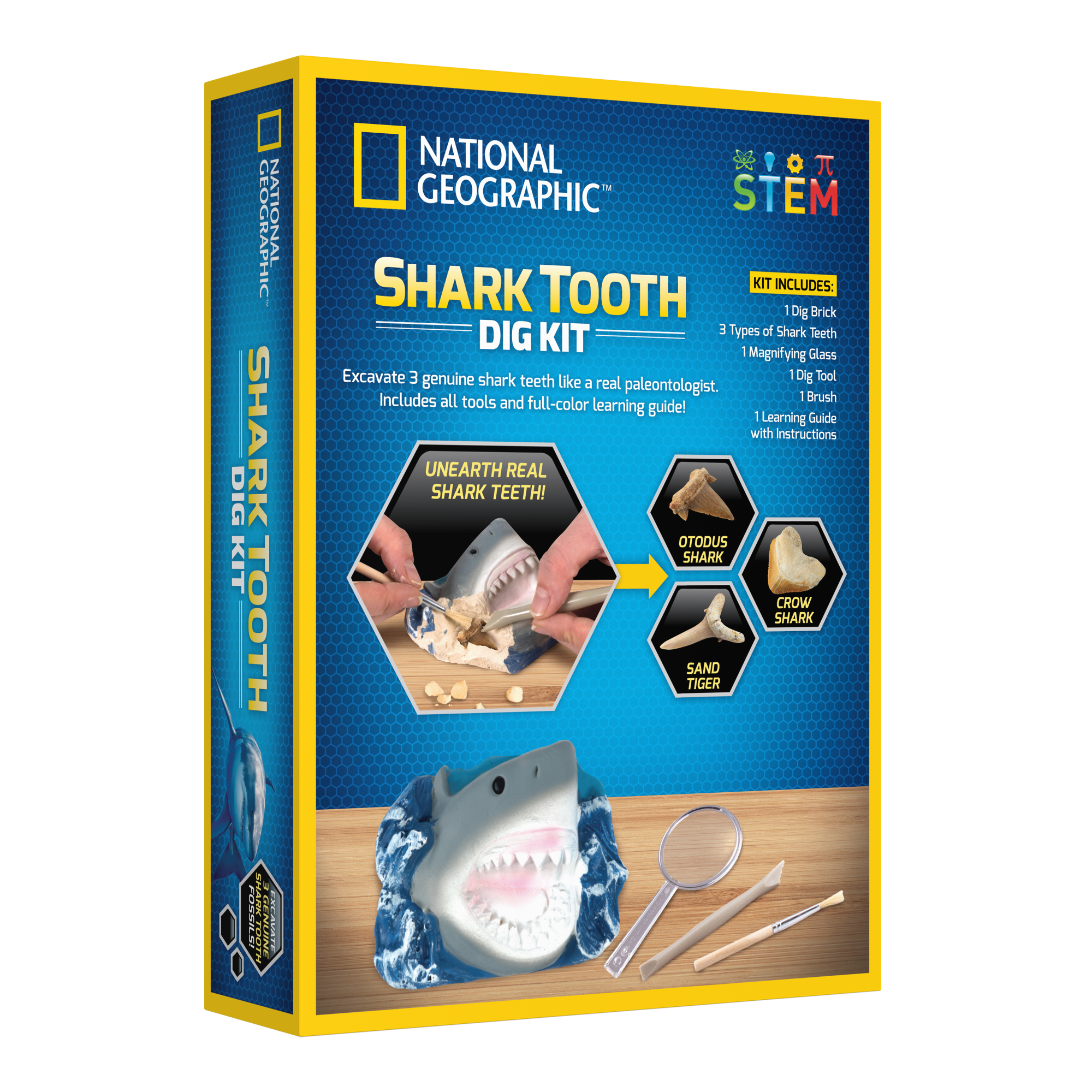 Kit de fouille de dents de requin National Geographic