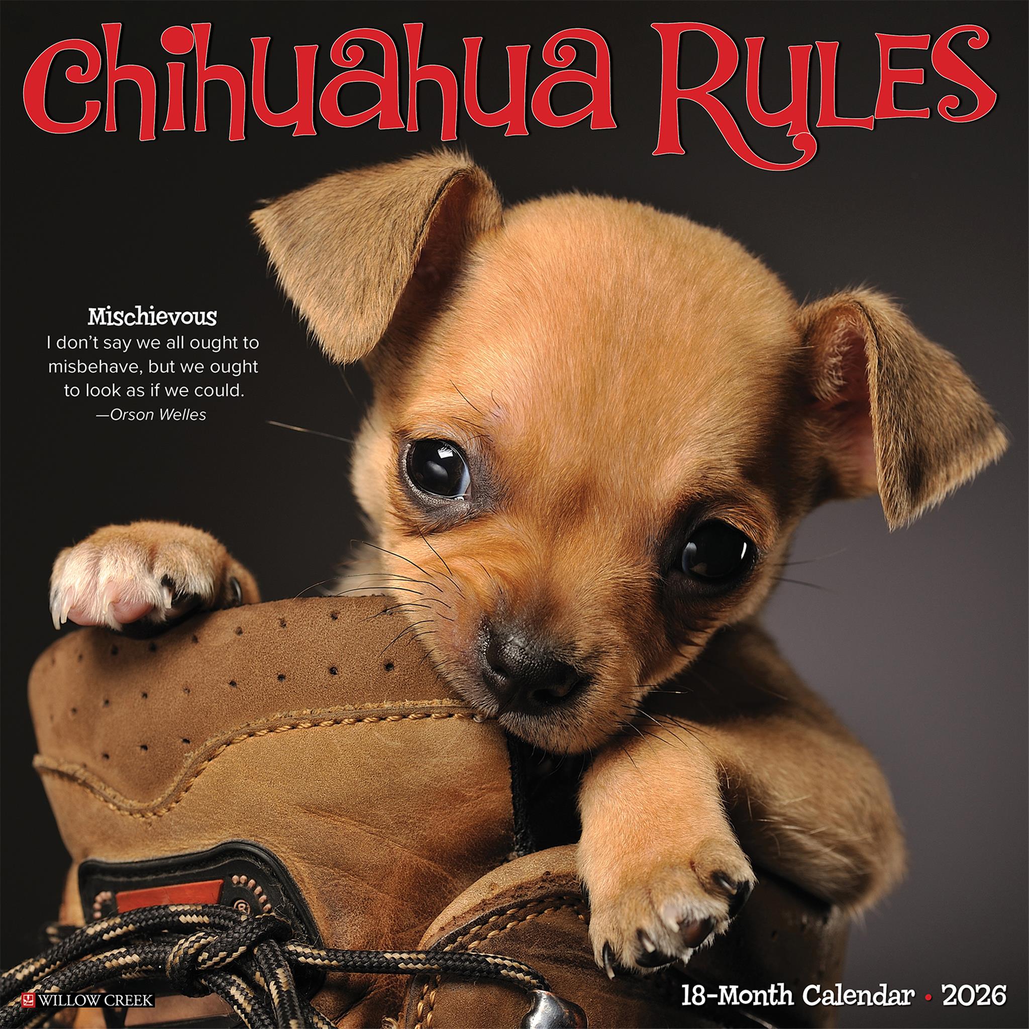 Calendrier mural Chihuahua Rules 2026 - Disponible uniquement en ligne