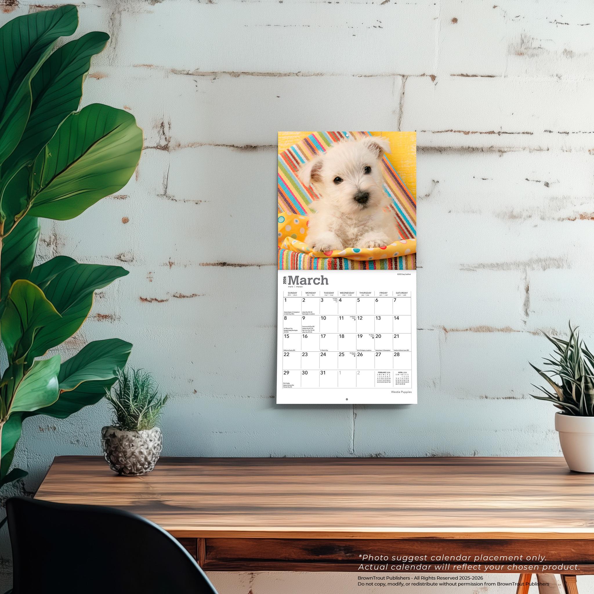 West Highland White Terrier Puppies 2026 Mini Calendar
