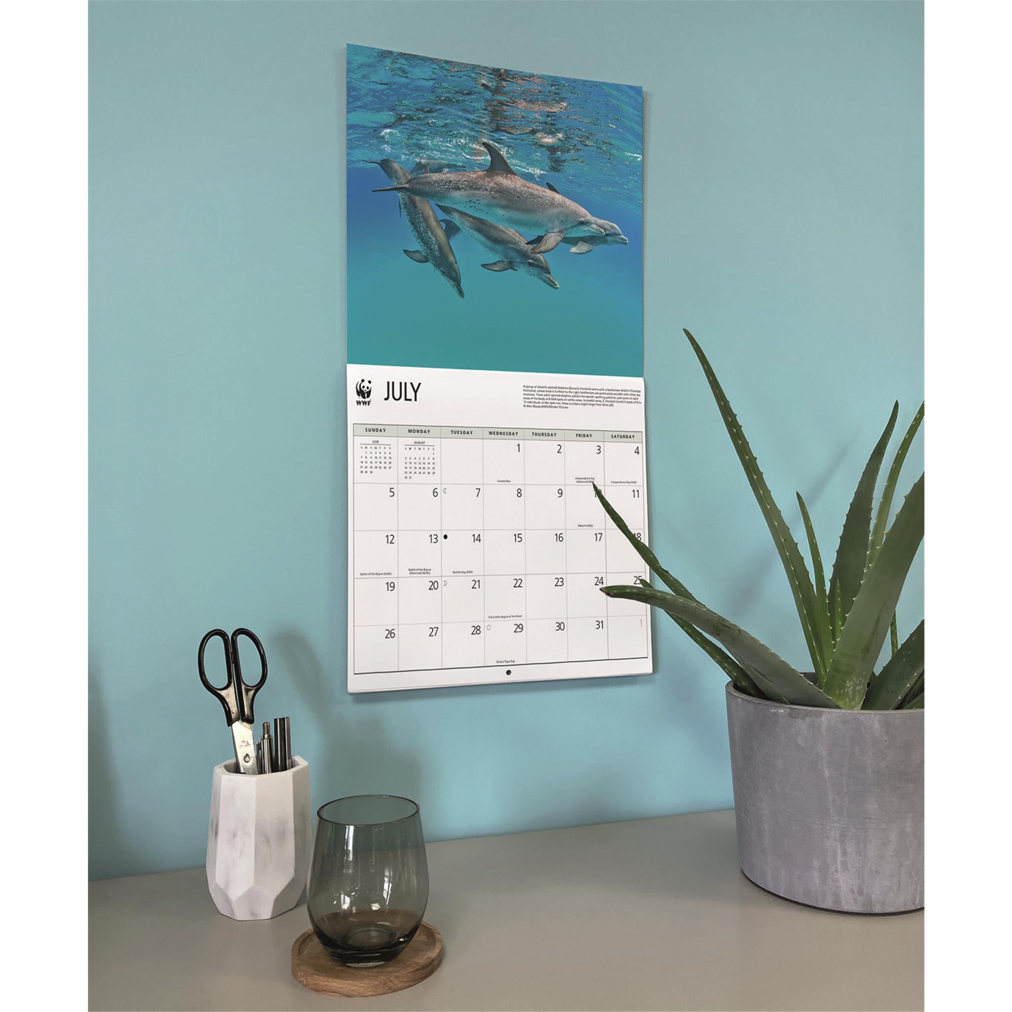 Calendrier mural Dauphins 2026 du Fonds mondial pour la nature