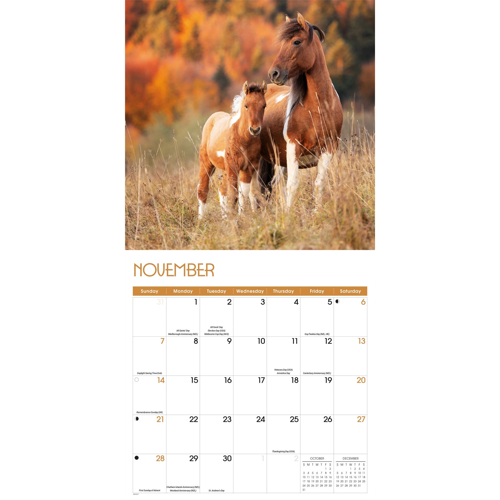 Calendrier mural Chevaux 2027