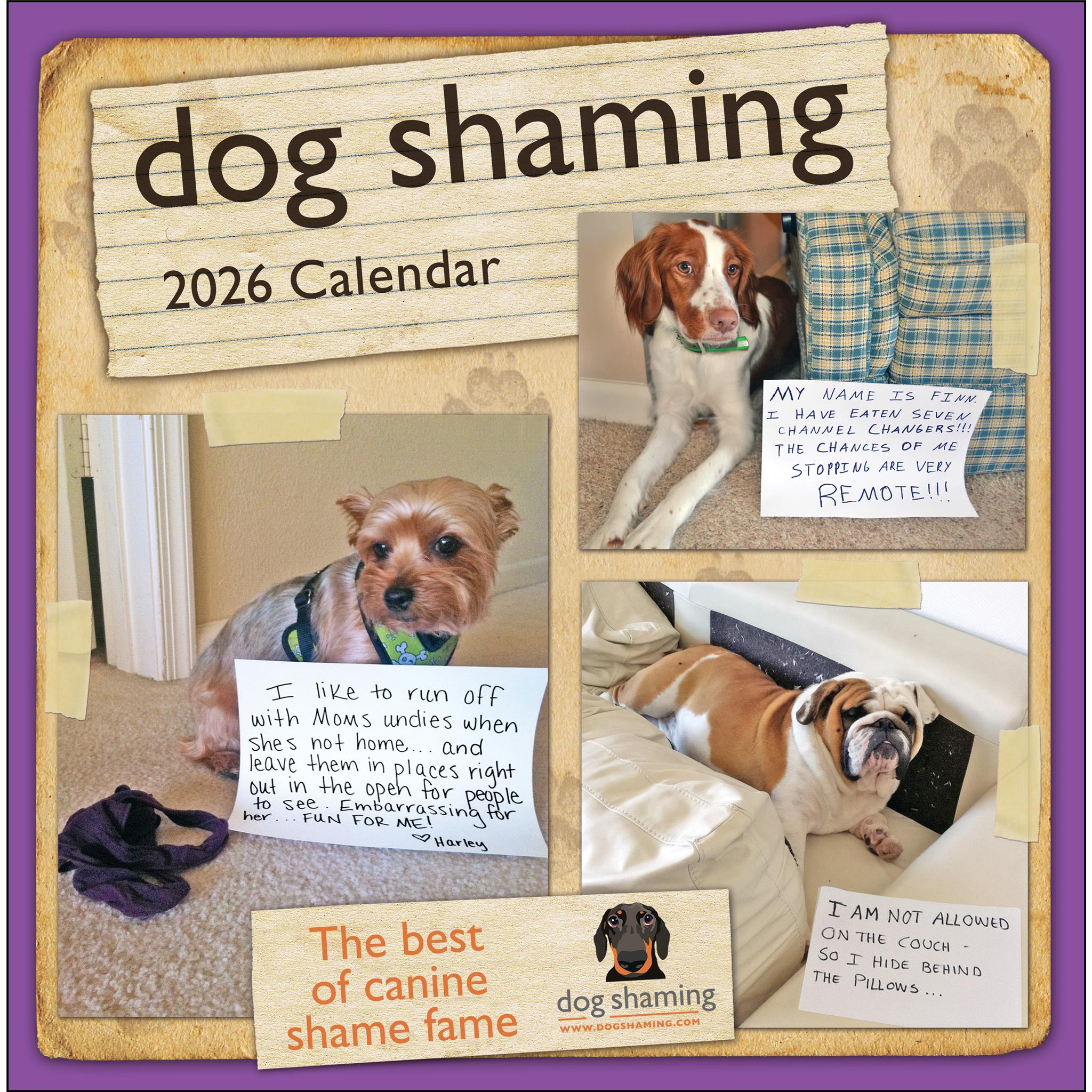 Dog Shaming 2026 Wall Calendar