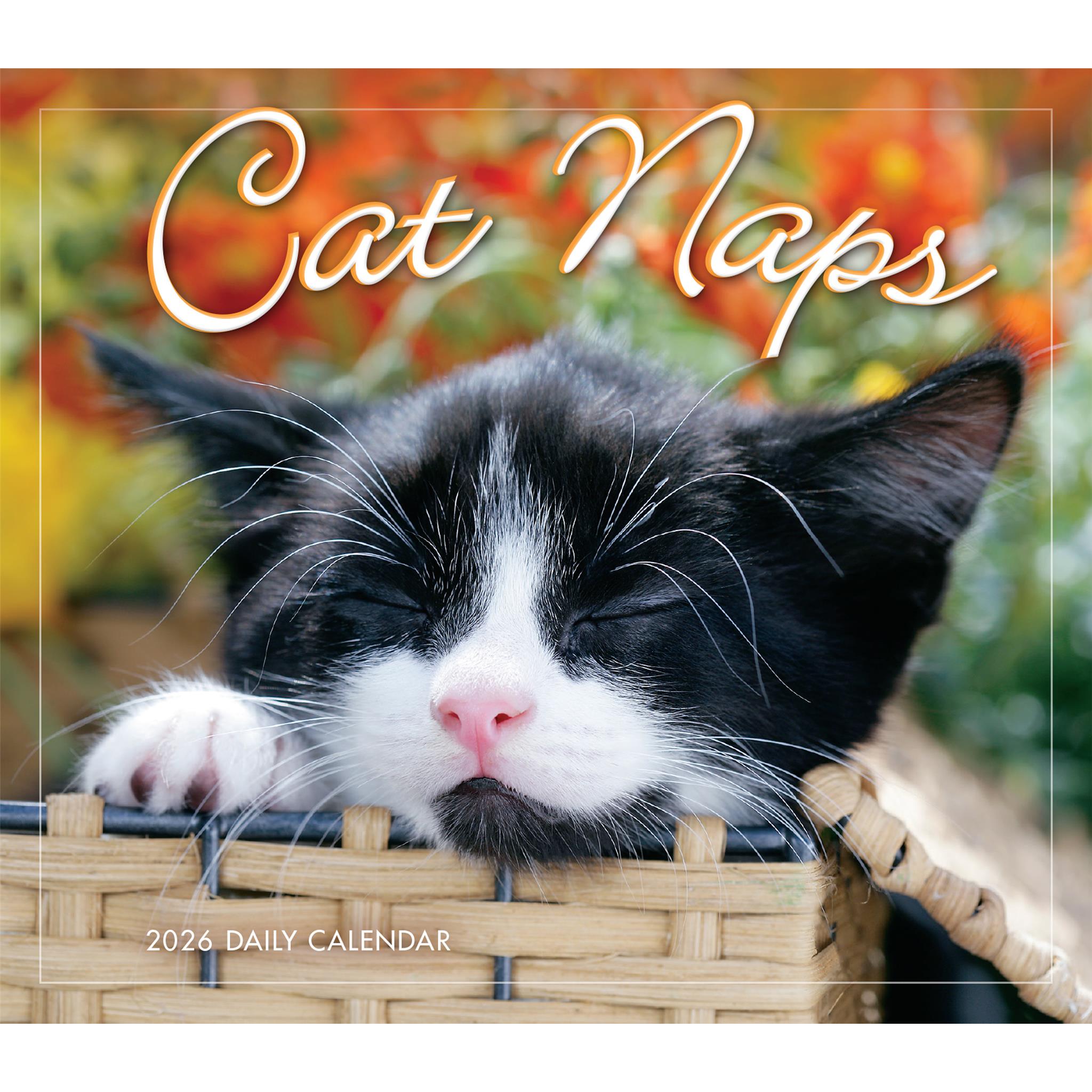 Calendrier Cat Naps 2026