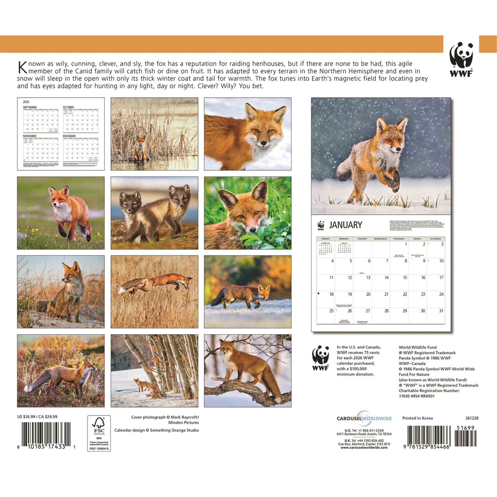 Calendrier mural Renards 2026 du Fonds mondial pour la nature